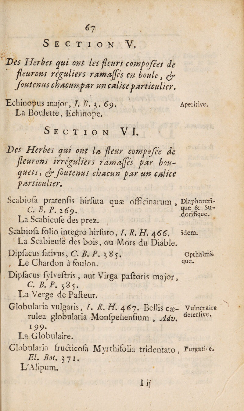 Des Herbes qui ont les fleurs compofées de fleurons réguliers ramaflflés en boule 3 & Joutenus chacun par un calice particulier. Echinopus major,/. B, 3. 69. Aperirive, La Boulette, Echmope. Section VI. Des Herbes qui ont la fleur compofée de fleurons irréguliers ramajflés par bou¬ quets, & Joutenus chacun par un calice particulier. Scabiofà pratenfîs hirfuta quæ ofBcinarum , C. B. P. 269. La Scabieufe des prez. Scabiofa folio integro hirfuto, L R. H. 466. La Scabieufe des bois, ou Mors du Diable. Dipfacus fativus, C. B. P. 385. Le Chardon à foulon. Dîaphoreti- que & Su* dorifique. idem. Opthalmk que. Dipfacus fylvertris, aut Virga partons major, C. B. P. 385. La Verge de Parteur. Globularia vuîgaris, /. R. H. 4^7. Belüs cæ- Vulnéraire rulea globularia Monfpeiienfium , Adv. detedlve* 199. La Globulaire. Globularia fru&icofâ Myrthifolia tridentato , Pufgathe, El. Bot. 371, L’Alipum. I ij 1