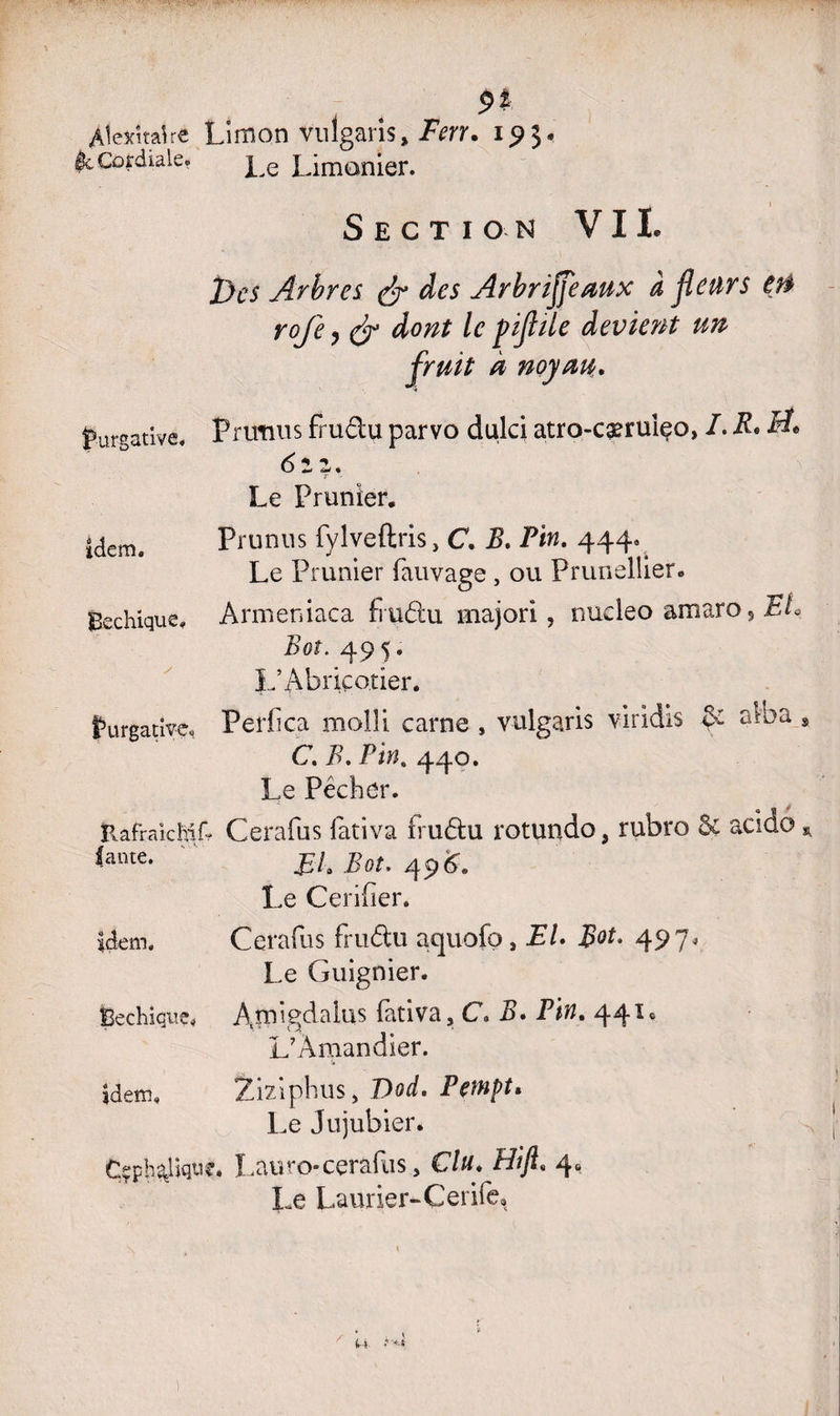9? AlexttaUc Limon vulgaris, Ferr. 195. le Cordiale. ]_^ Limonier. . 1 Section VIL X)es Arbres & des Arbrijfeaux à fleurs en rofe y & dont le piflile devient un fruit à noyau. purgative. Prunus fru&u parvo dulci atro-cæruiço» I. R. H, 62 1. r '■ Le Prunier. idem. Prunus fylveftris, C. B. Pin. 444. Le Prunier fauvage , ou Prunellier. Bechique. Armeniaca fiu&u majori, nucleo amaro, Et* Bot. 49 5. L’Abricotier. Purgative, Perfica molli carne , vulgaris viridis Çz alba C. B. Pint 440. Le Pécher. Rafraichih Cerafus lativa ïiuélu rotundo, rubro & acido *ante- FL Bot. 496. Le Ceriiier. Cerafus fru&u aquofo, EL Rot. 497. Le Guignier. feechique. Amigdalus fativa, C. B. Pin. 44 L’Amandier. idem. Ziziphus, T)od. Pe^npt» Le Jujubier. Cçpb^liqu?. Luu ro* cerafus, Elu. FUJI. 4» Le Laurier-Cerife, idem. / 4-i F'*J