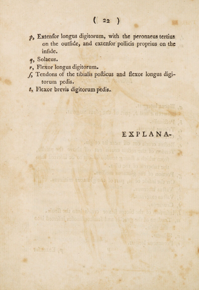 ( 22 ) Extenfor longus digitorum, with the perotiaeus tertius on the outfide, and extenfor pollicis proprius on the infide. q9 Solaeus. r, Flexor longus digitorum, f Tendons of the tibialis pollicus and flexor longus digi~ to rum pedis. % Flexor brevis digitorum pedis,. EXPLANA- s