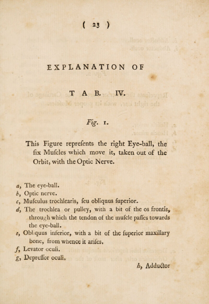 EXPLANATION OF TAB. IV. Fig. I. • A ' i i i This Figure reprefents the right Eye-ball, the fix Mufcles which move it, taken out of the Orbit, with the Optic Nerve* a, The eye-ball. b, Optic nerve. r, Mufculus trochlearis, feu obliquus fuperior, dj The trochlea or pulley, with a bit of the os frontis* through which the tendon of the mufcle pafles towards the eye-ball. e9 Obhquus inferior, with a bit of the fuperior maxillary bone, from whence it anfes. /, Levator oculi. gy Depreffor oculi. hy Adductor