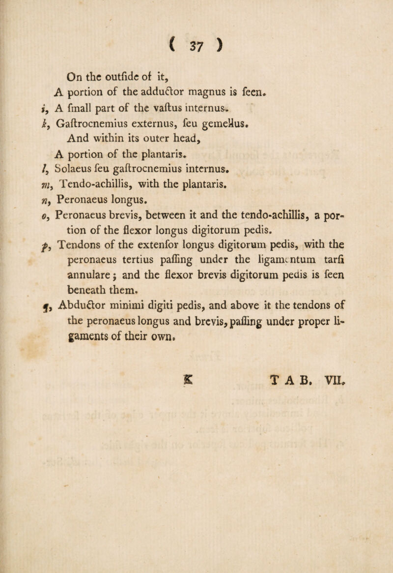 On the outfide of it, A portion of the adduftor magnus is feen* *, A fmall part of the vaftus internus. i, Gaftrocnemius externus, feu gemeMus. And within its outer head, A portion of the plantaris. /, Solaeus feu gaftrocnemius internus. m9 Tendo-achillis, with the plantaris. n9 Peronaeus longus. 0, Peronaeus brevis, between it and the tendo-achillis, a por¬ tion of the flexor longus digitorum pedis. f9 Tendons of the extenfor longus digitorum pedis, with the peronaeus tertius pafling under the liganuntum tarfi annulare; and the flexor brevis digitorum pedis is feen beneath them. Abduftor minimi digiti pedis, and above it the tendons of the peronaeus longus and brevis, pafling under proper li¬ gaments of their own.