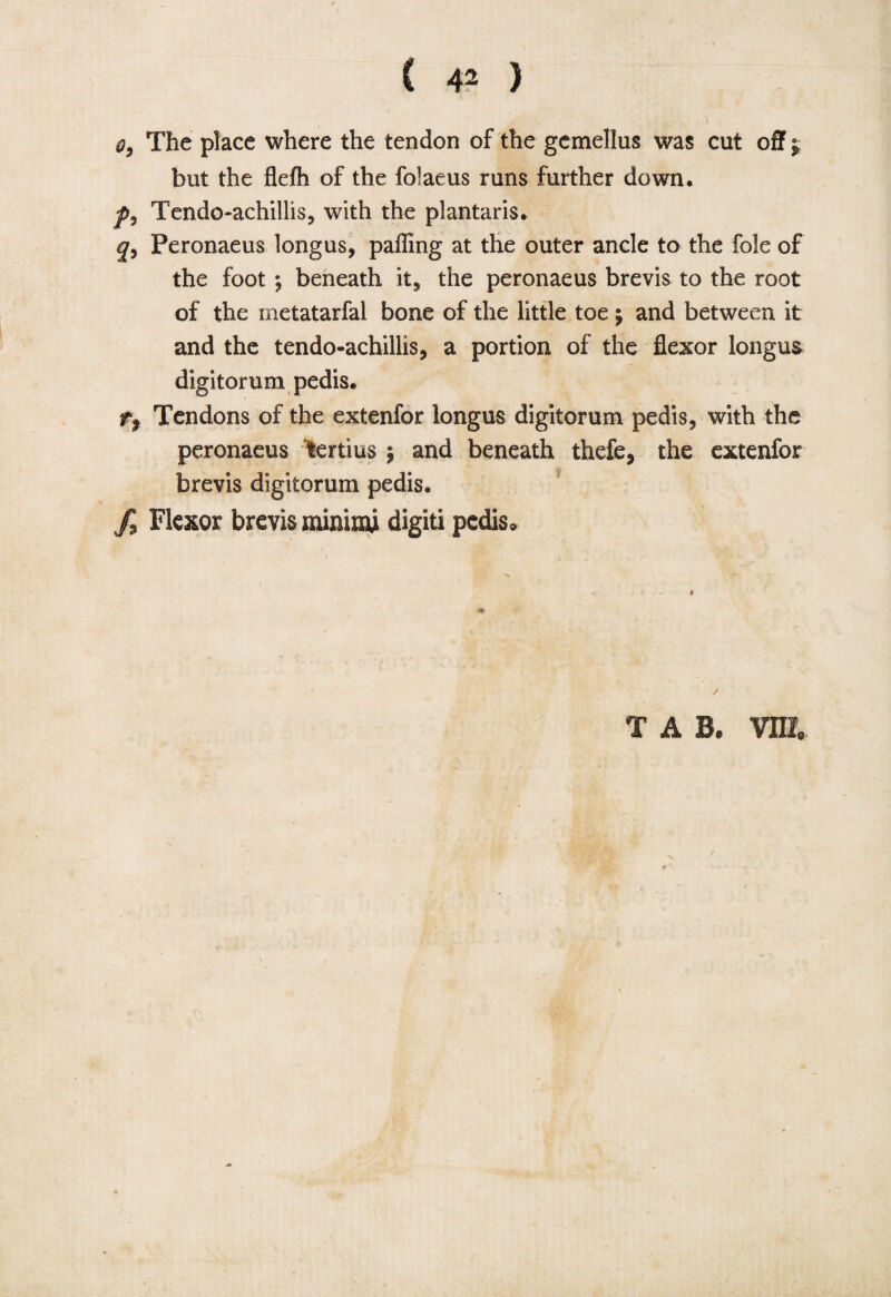 I o9 The place where the tendon of the gemellus was cut off j but the flefh of the folaeus runs further down. f9 Tendo-achillis, with the plantaris. q9 Peronaeus longus, palling at the outer ancle to the foie of the foot *, beneath it, the peronaeus brevis to the root of the metatarfai bone of the little toe 5 and between it and the tendo-achillis, a portion of the flexor longus digitorum pedis. tr Tendons of the extenfor longus digitorum pedis, with the peronaeus tertius $ and beneath thefe, the extenfor brevis digitorum pedis. f9 Flexor brevis minimi digiti pedis.