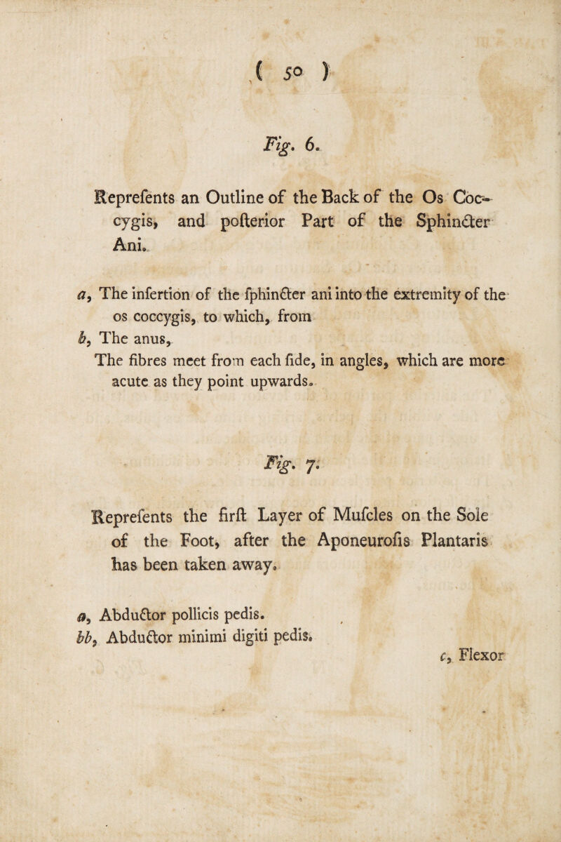 ( 5» ) Fig. 6. Reprefents an Outline of the Back of the Os Coo- cygis, and pofterior Part of the Sphincter AnL a, The infertion of the fphinfter ani into the extremity of the os coccygis, to which, from h, The anus. The fibres meet from each fide, in angles, which are more acute as they point upwards. Fig- 7- Reprefents the firft Layer of Mufcles on the Sole of the Foot, after the Aponeurofis Plantaris has been taken away. Abduftor pollicis pedis. bb9 Abduftor minimi digit! pedis. r, Flexor