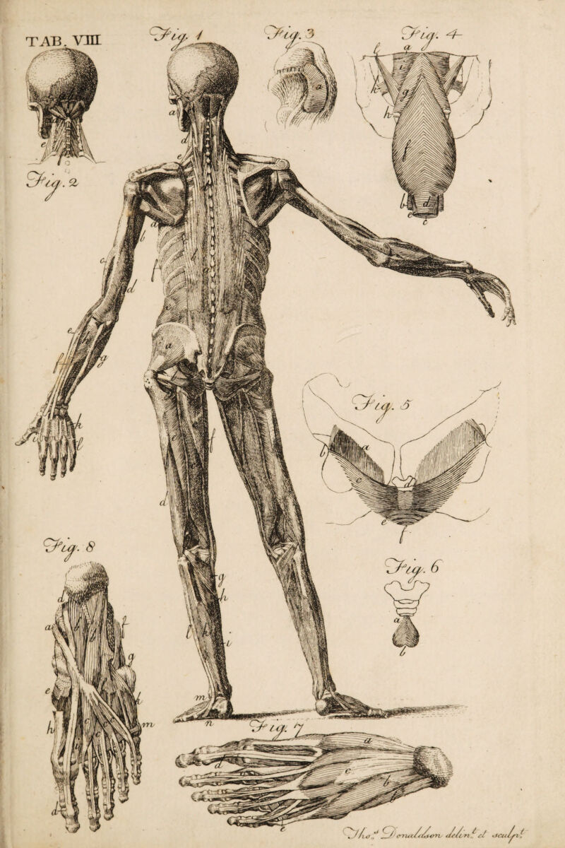 lO,'‘ <ma/cUtO/n- df/cri ISP?