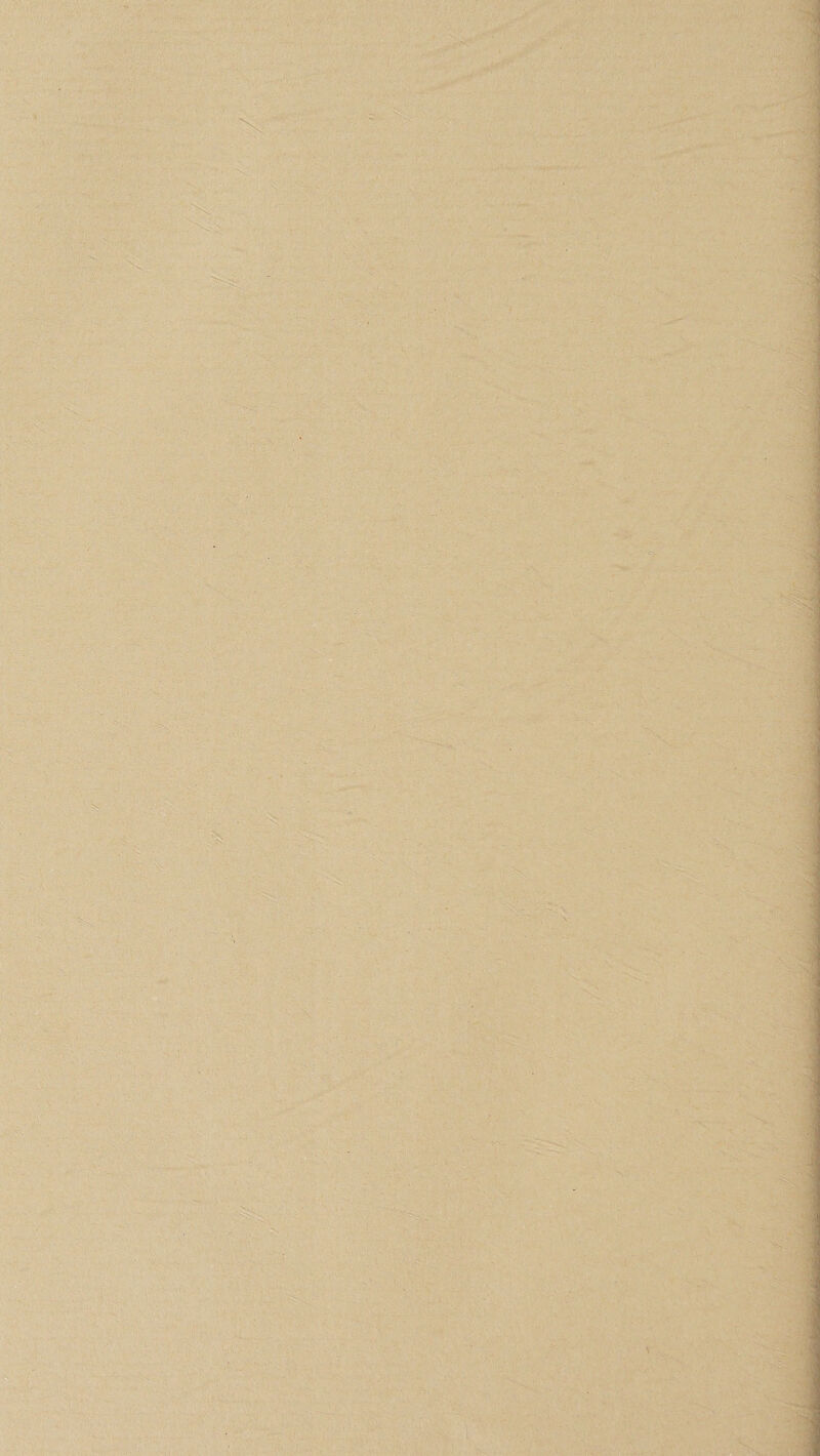 \ V,- •s; ■ f ■>i •V 'N V ■N ■ i V % f \ ‘i I •I 'l