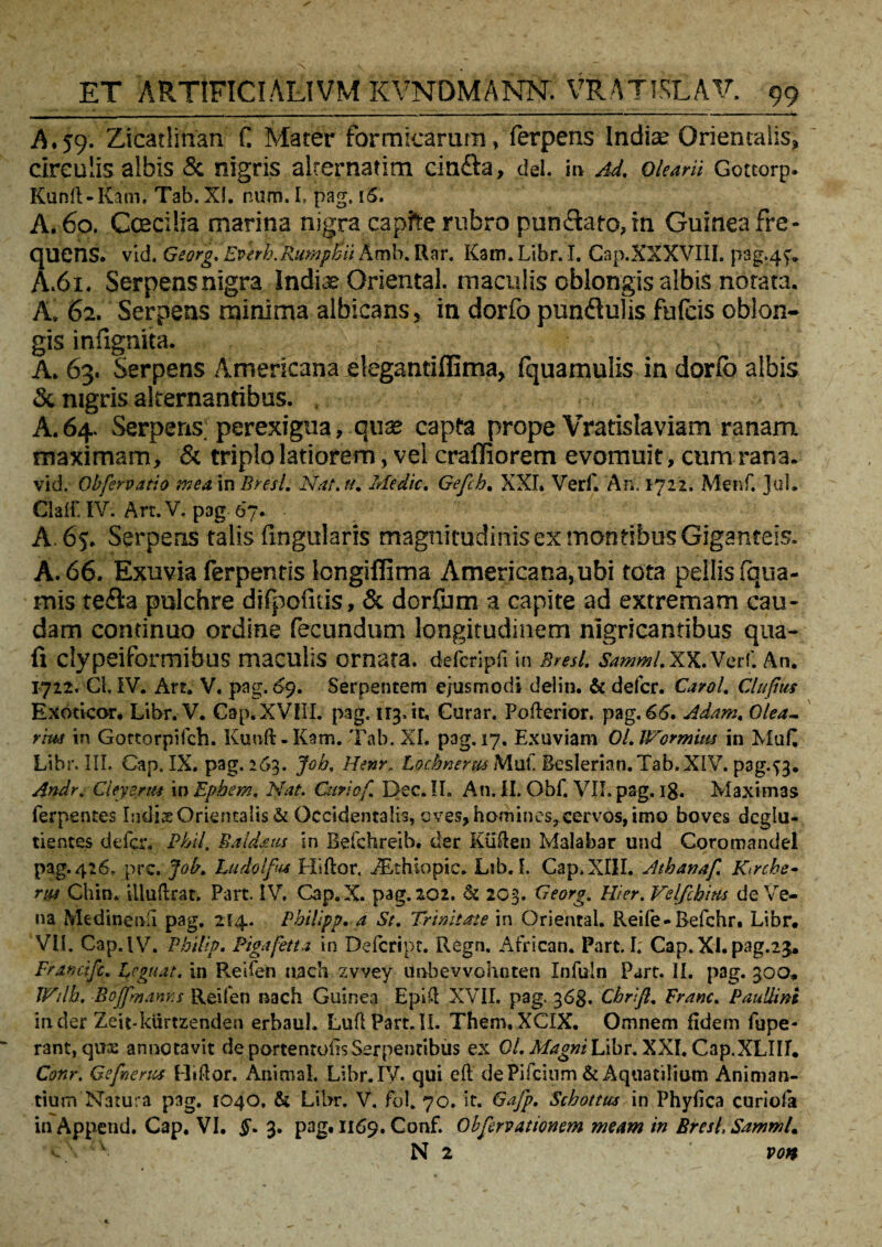 A.59. Zicatlinan C Mater formicarum, ferpens Indiae Orientalis, circulis albis & nigris alrernatim cm£b, dei. in Ad, olearii Gottorp. Kunft-Kam, Tab. Xf. num. I, pag. i<$. A. 60. Ccecilia marina nigra capite rubro pun&ato, in Guinea fre* quens. vld. Georg. Everh.Rumphu Amb. Rnr. Kam. Libr. I. Cap.XXXVIIL p3g»4f. A.61. Serpensnigra Indix Oriental. maculis oblongis albis notata. A. 62. Serpens minima albicans, in dorfo pundlulis fulcis oblon¬ gis inlignita. A. 63. Serpens Americana elegantiflima, fquamulis in dorfo albis & nigris alternantibus. A. 64. Serpens, perexigua, quas capta prope Vratislaviam ranam maximam, & triplo latiorem, vel crafliorem evomuit, cum rana, vid. Obfer vatio mea in Bresl, Nat. u, Medie, Gefch. XXI» Ver f. An. 1722, Menf. JuL ClalflV. Art.V, pag 67. A. 65. Serpens talis lingularis magnitudinis ex montibus Giganteis. A. 66. Exuvia ferpentis Icngiffima Americana, ubi tota pellis (qua- mis te£la pulchre difpofids, & dorfum a capite ad extremam cau¬ dam continuo ordine fecundum longitudinem nigricantibus qua¬ li clypeiformibus maculis ornata, defcripfi in Bresl. samml.XK.Veti'. An. 1712. Ci. IV. Ars. V. pag. 69. Serpentem ejusmodi delin. & deicr. Carol, Clupus Exoticor, Libr. V. Cap. XVIII. pag. 113, it, Curar. Poflerior. pag. 6d>. Adam, Olea¬ rius in Gortorpifch. Kunft-Kam. Tab. XL pag. 17. Exuviam OlWormim in MuL Libr. III. Gap. IX. pag. 263, Job. Henr, tochnerm Muf Beslerian.Tab.XIV. pag.f3* Andr. Cleyerm in Epbem. Nat. Curiof Dec.IL An. II. Obf. VII. pag. ig. Maximas ferpentes Indiae Orientalis & Occidentalis, eves, homines, cervos, imo boves dcglu- tientes defer. Phil. Baldaus in Befchreib. der Kuften Malabar und Coromandel pag. 426, pre .Job. Ludolfus Hiftor. iEthiopic. Lib. I. Cap.XIlI. Atbanaf Kinhe- rm Chin. illuftrat. Part. IV. Cap.X. pag. 202. & 203. Georg, Hier. Velfcbim de Ve¬ na Medinenu pag. 214. Philipp,a St, Trinitate in Oriental. Reife-Refchr. Libr* VII. Gap. IV. Philip, Pigafetta in Defcripr. Regn. African. Part. I. Cap.XLpag.25. Francifc, Leguat. in Reifen nach zvvey uobevvohoten Infuln Part. II. pag. 300* Wilh, Bojfmanru Reifen nach Guinea EpBl XVII. pag. 368. Cbrifl, Erane, Paullini inder Zeit-kiirtzenden erbaul. LuflPart.II. Them, XCIX. Omnem fidem fupe- rant, quas annotavit de portentoils Serpentibus ex 01, Magni Libr. XXI, Cap.XLIIL Conr. Gefnerus Hiflor. Animal. Libr. IV. qui efl de Pifcium & Aquatilium Animan¬ tium Natura pag. 1040, & Libr. V. fol, 70. it. Gafp, Schottus in Phyfica curiola inAppend. Cap. VI. §, 3. pag. 1169. Conf. Obfervationem meam in Bresl, SammU v V N 2 von