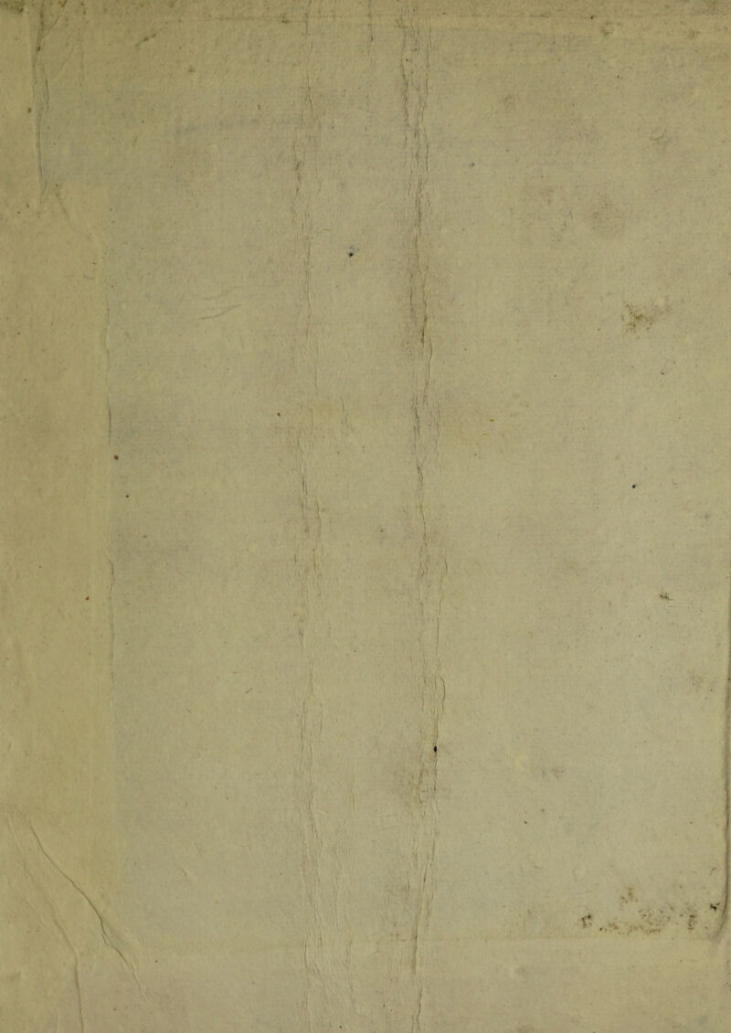 .. ■ - ■ j V' t ‘V' . * u