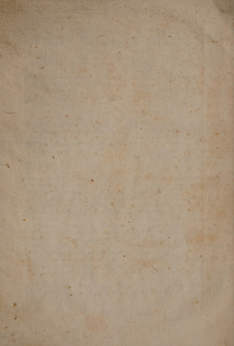 ATA A i: E. ilo, via St tg”