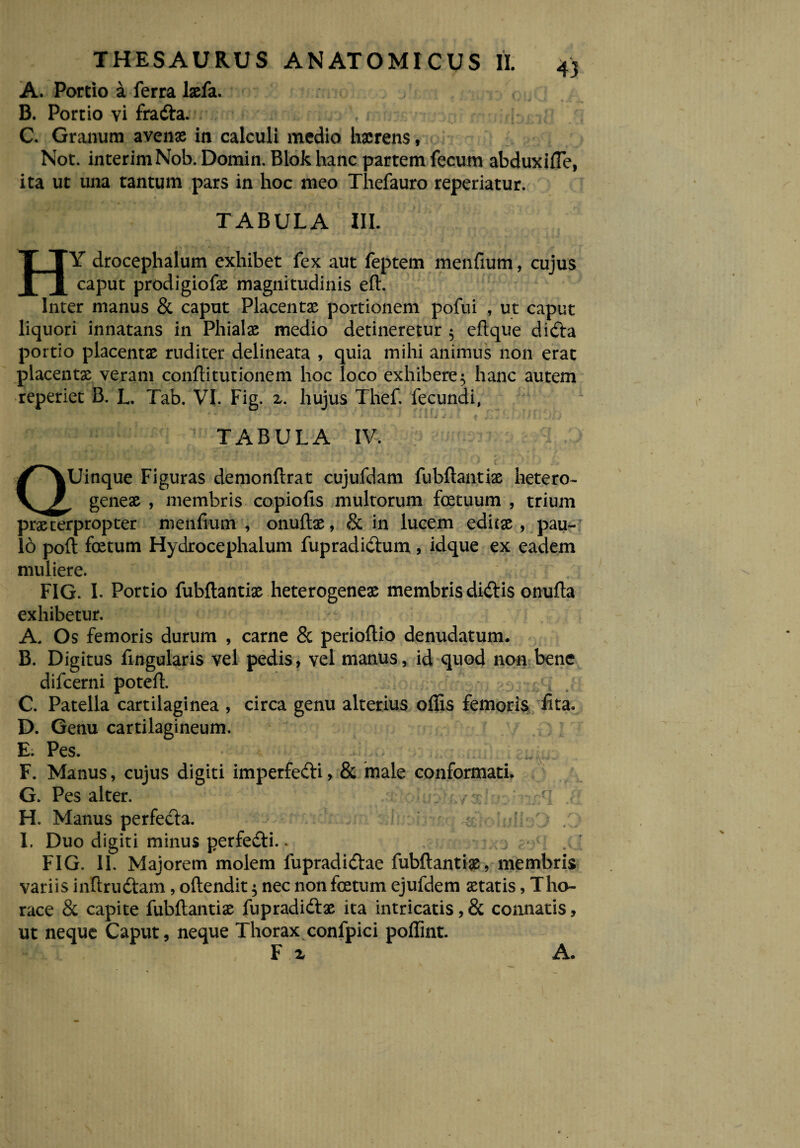 A. Portio a ferra lxfa. B. Portio vi fra&a. C. Granum avenx in calculi medio hxrens, Not. interimNob. Domin. Blok hanc partem fecum abduxifTe, ita ut una tantum pars in hoc meo Thefauro repedatur. k'rf ^ • y — TABULA III. HY drocephalum exhibet fex aut feptem menfium, cujus caput prodigiofx magnitudinis efl. Inter manus & caput Placentae portionem pofui , ut caput liquori innatans in Phialae medio detineretur 5 eflque dida po rtio placentae ruditer delineata , quia mihi animus non erat placentae veram confli turionem hoc loco exhibere $ hanc autem repedet B. L. Tab. VI. Fig. 2. hujus Thef. fecundi, * ■ . *•* ’ J * .<’■> .. t i X LU J i I # TABULA IV. QUinque Figuras demonflrat cujufdam fubflantiae hetero- geneae , membris copiofis multorum fcetuum , trium praeterpropter menfium , onuflae, & in lucem editae, pau¬ lo poft foetum Hydrocephalum fupradidum , idque ex eadem muliere. FIG. I. Portio fubflantix heterogenex membris didis onufta exhibetur. A. Os femoris durum , carne & perioflio denudatum. B. Digitus fingularis vel pedis, vel manus, id quod non bene difcerni potefl. C. Patella cartilaginea , circa genu alterius offis femoris fita. D. Genu cartilagineum. E. Pes. , F. Manus, cujus digiti imperfedi, & male conformati. G. Pes alter. / H. Manus perfeda. ^ hdbl; ... I. Duo digiti minus perfedi.. ; . FIG. II. Majorem molem lupradidae fubflantix, membris variis inflrudam, oftendit $ nec non foetum ejufdem xtatis, Tho¬ race & capite fubflantix fupradidx ita intricatis, & connatis, ut neque Caput, neque Thorax confpici poffint. F z A.