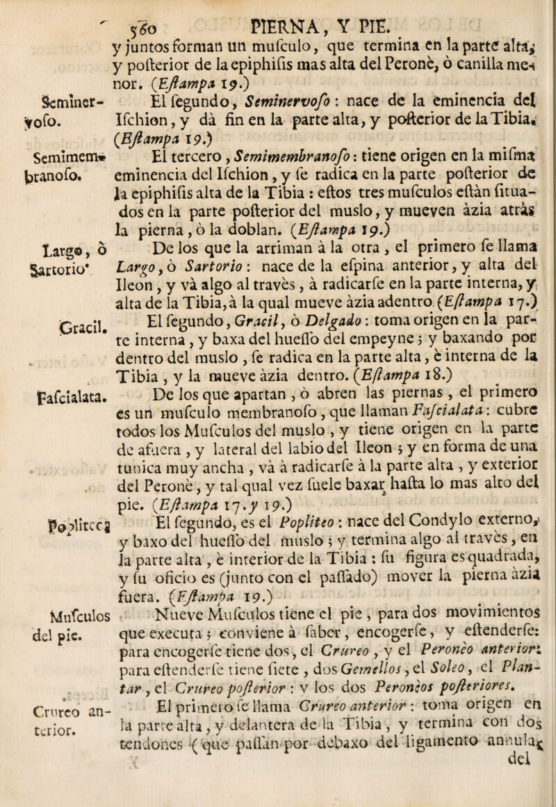 ' f6o PIERNA, Y PIE. y juntos forman un mufculo, que termina en la parte alta^ y pofterior de la epiphifis mas alta del Peroné, ó canilla me-s ñor. (Eftampa 19.) Semmer- Elfegundo, Seminevvofo: nace de la eminencia del yofo. Ifchion,y da fin en la parte alta, y pofterior de la Tibia» (.Eftampa 19.) Semimem* El tercero, Semimembranofo: tiene origen en la rnifrna branofo. eminencia del Ifchion, y fe radica en la parte pofterior de Ja epiphifis alta de la Tibia : eftos tres mufeulos eftán fitua- dos en la parte pofterior del muslo, y mueven ázia atras la pierna , ó la doblan. (Eftampa 19.) Largo, ó De los que la arriman á la otra , el primero fe llama Sartorio* Largo, ó Sartorio : nace de la efpina anterior, y alta del Ileon, y va algo al través, á radicarfe en la parte interna, y alta de la Tibia, á la qual mueve ázia adentro. (E/tampa 17.) Grácil. ^ fegundo, Grácil, ó Delgado: toma origen en la par¬ te interna, y baxa del huello del empeyne 5 y baxando por dentro del muslo , fe radica en la parte alta, é interna de la fafcialata. <¡e PoolitCCS jdufculcs del pie. Crnrco an¬ terior. Tibia , y la mueve ázia dentro. (Eflampa 18.) De los que apartan , ó abren las piernas, el primero es un mufculo membranofo , que llaman Fajcialata: cubre todos los Mufeulos del muslo , y tiene origen en la parte de afuera , y lateral del labio del Ileon j y en forma de una túnica muy ancha , va á radicarfe á la parte alta , y exterior del Peroné, y tal qual vez fuele baxar hafta lo mas alto del pie. (E/lampa 17.y 19.) El fegundo, es el Poplíteo : nace del Condylo externo,* y baxo del hueflo del muslo ; y termina algo al través, en la parte alta , é interior de la Tibia : fu figura esquadrada, y fu oficio es (junto con el paflado) mover la pierna ázia fuera. ('Eftampa 19.) Nueve Mufeulos tiene el pie , para dos movimientos j que executa j conviene á faber, encogerfe, y eftenderfe: para encogerfe tiene dos, el Crureo , y el Peroneo anterior para eftenderfe tiene fíete , dos Gemellos, el Soleo, el Plan~ tar , el Crureo pofterior : v los dos Peroneos pofteriores. El primero fe llama Crureo anterior : toma origen en la parte alta , y delantera de la Tibia , y termina con dos tendones •( que pallan por debaxo dei ligamento annula^ del