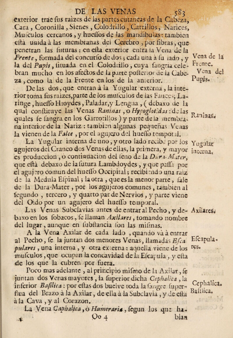 exterior trae fus raizes de las partes cutáneas de la Cabeza, Cara , Coronilla , Sienes, Colodrillo, Carrillos, Narices, Muiculos cercanos , y huellos de las mandíbulas: también cita unida á las membranas del Cerebro , por fibras, que penetran las futuras : en ella exterior entra la Vena de la Frente, formada del concurfo de dos 5 cada una a fu iado, y la del Pupis, licuada en el Colodrillo , cuya fangria cele¬ bran mucho en los afados de la parte poíienot de ia Cabe» za,como ia de la Erente etilos de ia anterior. De las dos, que entran á la Yugular externa , la inte¬ rior toma fus raizes,parte de los muiculos de las Fauces, La¬ ringe , huefíb Hioydes, Paladaigy Lengua , ( debaxo de la quat conftituye las Venas Raninas , o HypoglotIdas: dulas quales fe fangra en los Garrotillos) y parte déla membra¬ na interior de ia Nariz : también algunas pequeñas Venas la vienen de la Falce , por el agujero del hueííb temporil. La Yugular interna de uno, y otro lado recibe por los agujeros dei Cráneo dos Venas de ellas, la primera, y mayor es producción ,0 continuación dei feuo de la Dúri-M¿tery que eñá debaxo de la futura Lambdoydes , y que palia por el agujero común del huella Occipital recibiendo una raíz de la Medula Eípinal s la otra , que es la menor parte, fale de ia Dura-Mater, por los agujeros comunes , también al íegundo , tercero , y quarto par de Nervios, y parte viene del Oido por un agujero del hueífo temporaL Las Venas Subclavias antes de entrar al Pecho, y de¬ baxo en los fobacos, fe llaman Axilares, tomando nombre del lugar, aunque en fubítancia fon las mi finas. A la Vena Axilar de cada lado , quando va á entrar al Pecho, fe la juntan dos menores Venas, llamadas Ufe a putares , una interna , y otra externa: aquella viene de los muiculos ,que ocupan la concavidad delaEíeapula , y eíta de los que la cubren por fuera. Poco mas adelante , al principio mifmo de la Axilar, fe juntan dos Venas mayores , la fuperior dicha Cephalica , la inferior Bafilica: por eftas dos bueive toda la fangre fu per¬ ica del Brazo á la Axilar, de ella á la Subclavia , y de ella á la Cava , y al Corazón. La Vena CaphaUca ,b Humerari* , fegun los que ha- 1 Po 4 blata Vena de la Frente. Vena del Pupis. Raninas* Yugular interna. Axilares* E ícapu!a« res. Cephalica» Baíilica.