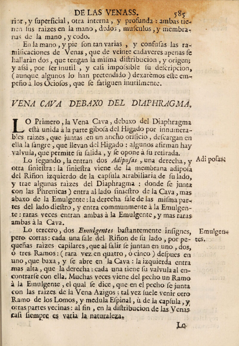 ■■DELAS VENASS* liar , y íuperfícial, otra interna , y profunda : ambas tie¬ nen fus raizes en la mano, dedos, mufculos, y membra¬ nas de la mano, y codo. En ia mano , y pie fon tan varias , y confufas las ra¬ mificaciones de Venas , que de veinte cadáveres apenas fe hallarán dos, que tengan ia mifma diítribucion , y origen; y afsi, por íer inútil , y cali impofsible fu deícripcion, ( aunque algunos lo han pretendido ) dexaremos eñe em¬ peño a los Ociofos, que fe fatiguen inútilmente. VENA CAVA DEBAXO DEL DIAPHRAGMA. LO Primero ,1a Vena Cava, debaxo del Diaphragma eftá unida á la parte gibofa-del Hígado por innumera¬ bles raizes ,que juntas en un ancho orificio , defeargan en ella la íángre , que llevan del Higado : algunas afirman hay válvula, que permite fu falida , y íe opone a fu retirada. Lo íegundo ,.Ia entran dos Adi pojas T una derecha, y Adipofa&i otra finieftra: la íinieñra viene de la membrana adipofa del Riñon izquierdo déla cap fula atrabiliaria de fu lado, y trae algunas raizes del Diaphragma : donde fe junta con las Phrcnicas) entra al lado fmieftro de la Cava, mas abaxo de la Emulgente :1a derecha faledelas mifma par¬ tes del ladodieftro, y entra communmente á la Emulgen¬ te : raras, veces entran ambas á la Emulgente , y mas raras ambas ala Cava. Lo tercero, dos Emulgentts baftantemente infignes, Emulgen^ pero- cortas: cada una fale del Riñon de fu lado , por pe- tes. queñas raizes capilares, que al falir fe juntan en uno , dos, ó tres. Ramos: ( rara vez en quatro, ó cinco ) defpues en uno, que baxa, y fe abre en la Cava : la izquierda entra mas alta, que la derecha: cada una tiene fu válvula al en¬ contrarle con ella. Muchas veces viene del pecho un Ramo a la Emulgente , el qual fe dice, que en el pecho fe junta con las raizes de la Vena Azigos 5 tal vez íuelc venir otro Ramo de los Lomos, y medula Efpinal, ii de la capfula, y otras partes vecinas: al fin , en la diítribucion de las Venas cafi fiempre es varia la naturaleza*