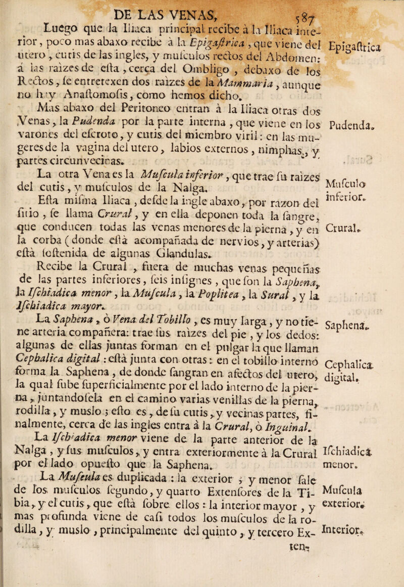 DE LAS VENAS, 5gy Luego que la Iliaca principal recibe á la Iliaca inte¬ rior , poco mas abaxo recibe á la Bpigafirtca , que viene del tuero , cutis de las ingles, y muículos recios del Abdomen; á las raizesde ella,cerca del Ombligo , debaxo de los Rebles, íe entretexen dos raizes de la Mammaria , aunque no lx y Anaftomofis, como hemos dicho* Mas abaxo del Peritoneo entran á la Iliaca otras dos Venas, la Pudenda, por la parte interna , que viene en los varones del cfcroto,y cutis dei miembro viril: en las mu- geresde la vagina dei útero, labios externos, nimphas,, y partes circunvecinas* ' La otra Vena es la 'Múfenla inferior, que trae fu raizes del cutis, y muículos de la Nalga. Efla mifma iliaca , defdcla ingle abaxo, por razón del fulo , íe llama Crural, y en ella deponen toda la fangre, que conducen todas las venas menores de la pierna , y en la corba( donde eflá acompañada de nervios, y arterias) efta ícílenida de algunas Glándulas* Recibe la Crural , fuera de muchas venas pequeñas de las partes inferiores, feis inlignes , que fon la Saphena^ la Ifchiadica menor, la Mujeula , la Poplítea , la Sural, y la Ifchiadica mayor* La Saphena■ tóVena del Tobillo , es muy larga, y no tie¬ ne arteria compañera: trae fus raizes del pie , y los dedos: algunas de ellas juntas forman en el pulgar la que llaman Cephalica digital .- cita junta con otras:. en el tobillo interno forma la Saphena , de donde (angranen aféelos del útero, la qual fube fuperficialmemc por eL lado interno de la pier- na ,, juntándotela en el camino varias venillas de la pierna, rodilla , y muslo $ efio es , deiu cutis ,ty vecinas partes, fi¬ nalmente, cerca de las ingles entra á la Crural, o Inguinal. La Ifchiadica menor viene de la parte anterior de la Nalga , y fus muículos, y entra exreriormentea la Crural por el lado opueílo que la Saphena. La Mufeulaxs. duplicada : la exterior , y menor fale de los. muículos íegundo, y quarto Exteníores déla Ti¬ bia,^ el cutis, que eflá íobre ellos : la interior mayor , y mas profunda viene de cali todos los muículos de la ro¬ dilla , y muslo > principalmente del quinto, y tercero Ex¬ tern Epígañtica Pudendas Mu feulo inferior. Crural,. Saphena, Cephalica. digital. lfchiadic& menor. Mufcula exterior# Interior,