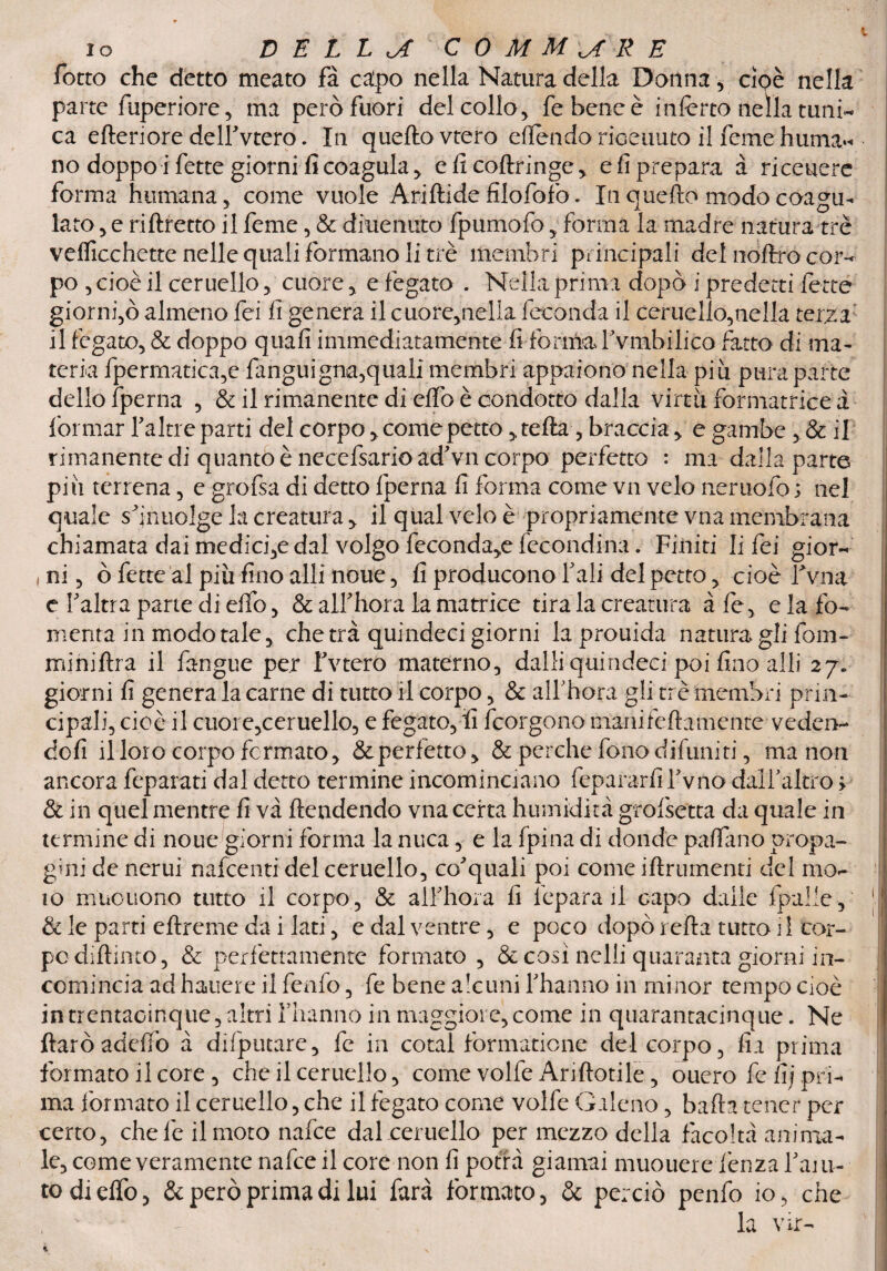 t IO D E L L C 0 M M \J R E fotto che detto meato fa capo nella Natura della Donna , ciqc nella parte fùperiore, ma però fuori del collo, febeneè inferto nella tuni¬ ca elleriore delfvtero. In quellovtero ellendo rioeuuto il feme huma** no doppoi fette giorni fi coagula , efìcoflringe, e fi prepara à ri cenere forma humana, come vuole Ariftide filofoìo. In quello modo coagu¬ lato , e rillretto il feme, & diuenuto fpumofo 5 forma la madre natura tré vdficchette nelle quali formano li tré membri principali dei nollro cor¬ po 5 cioè il ceruello, cuore , e fegato . Nella prima dopò i predetti fette giorni,ò almeno fei fi genera il cuore,nelia feconda il ceruello,nella terza il fegato, & doppo quali immediatamente fi formaTvmbilico fatto di ma¬ teria fpermatica,e languigna,quali membri appaiono nella più pura parte dello fperna , & il rimanente di elfo è condotto dalla virtù formatrice i formar faine parti del corpo, come petto ,tefla , braccia, e gambe, & il rimanente di quanto è necefsario ad'vn corpo perfetto : ma dalla parte più terrena, e grofsa di detto fperna fi forma come vn velo neruofo ; nel quale sf ntiolge la creatura , il qual velo è propriamente vna membrana chiamata dai medici,e dal volgo feconda,e fecondimi. Finiti li fei gior¬ ni , ò fette al più fino alli noue, fi producono bali del petto, cioè f vna e faina parte di elfo, & alfhora la matrice tira la creatura afe, e la fo¬ menta in modo tale, che tra quindeci giorni laprouida naturagli fom- minillra il fangue per fvtero materno, dalli quindeci poi lino alli 27* giorni fi genera la carne di tutto il corpo, & alfhora gli tr è membri prin¬ cipali, cioè il cuore,ceruello, e fegato, li feorgono mani fella mente veden¬ doli il loro corpo fermato, &perfetto, & perche fono diluititi, ma non ancora feparati dal detto termine incominciano fepararfif vno dalf altro ; & in quel mentre fi va llendendo vna certa humidità grofsetta da quale in termine di noue giorni forma la nuca, e la fpina di donde padano propa¬ gali de ncrui nafeenti del ceruello, co'quali poi come illriimenti del mo¬ to muouono tutto il corpo, & alfhora fi lèpara il capo dalle fpalle, || & le parti eftreme da i lati, e dal ventre, e poco dopò iella tutto il cor¬ po diftinto, & perfettamente formato , & così nclli quaranta giorni in¬ comincia ad hauere il fenfo, fe bene alcuni f hanno in minor tempo cioè in trentaoinque, altri flianno in maggiore, come in quarantacinque. Ne ftaròadellò à difputare, fc in cotal forma'tione del corpo, fìa prima formato il core , che il ceruello, come volfe Ariftotile, oucro fe fi] pri¬ ma formato il ceruello, che il fegato come volfe Galeno, balla tener per certo, chele il moto nafee dal ceruello per mezzo della facoltà anima¬ le, come veramente nafee il core non fi potrà giamai muouere lènza f aiu¬ to di elfo, & però prima di lui farà formato, & perciò penfo io, che , ' la vìr-