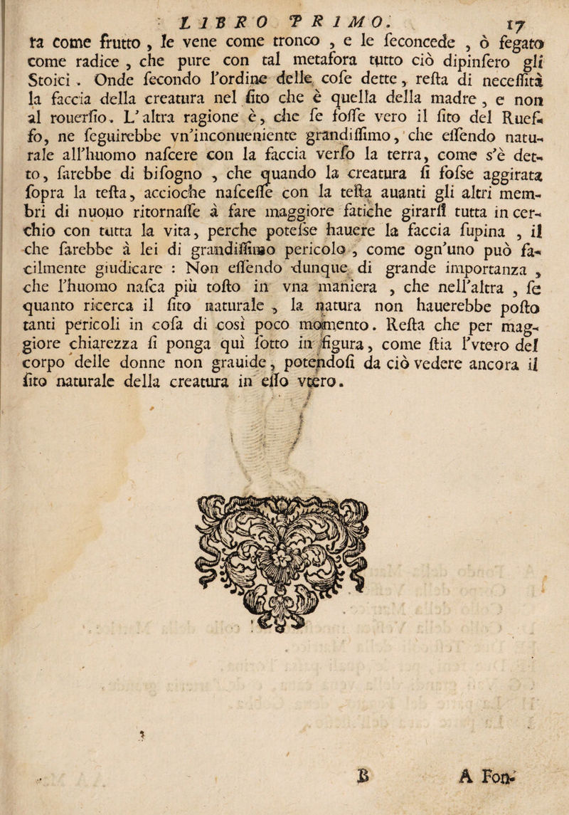 L 13 R 0 T R 1 M 0. xj ra come frutto , le vene come tronco , e le feconcede , ò fegato come radice , che pure con tal metafora tutto ciò dipinlero gli Stoici > Onde fecondo l’ordine delle cofe dette, retta di necelfità la faccia della creatura nel fico che è quella della madre, e noti al rouerfìo. L’altra ragione è, die fe fotte vero il iìto del Ruef. fo, ne feguirebbe vn’inconueniente grandiflimo, che elfendo natu¬ rale all’huomo nafeere con la faccia verfo la terra, come s’è det¬ to , farebbe di bifogno , che quando la creatura fi fbfse aggirata fopra la tetta, accioctte nattette con la tetta auanti gli altri mem¬ bri di nuouo ritornaflè à fare maggiore fatiche girar!! tutta in cer¬ chio con tutta la vita, perche potette hauere la faccia lupina , il che farebbe à lei di gnmdifìinso pericolo , come ogn’uno può fà¬ cilmente giudicare : Non ettèndo dunque di grande importanza , che l’huomo natta più tofto in vna maniera , che nell’altra , fe quanto ricerca il fico naturale , la natura non hauerebbe pollo tanti pericoli in cofa di così poco momento. Retta che per mag¬ giore chiarezza fi ponga qui lotto in figura, come ftia l’vtero del corpo delle donne non grauide, potendoli da ciò vedere ancora il fito naturale della creatura in etto veero. % / £ A Fon-'