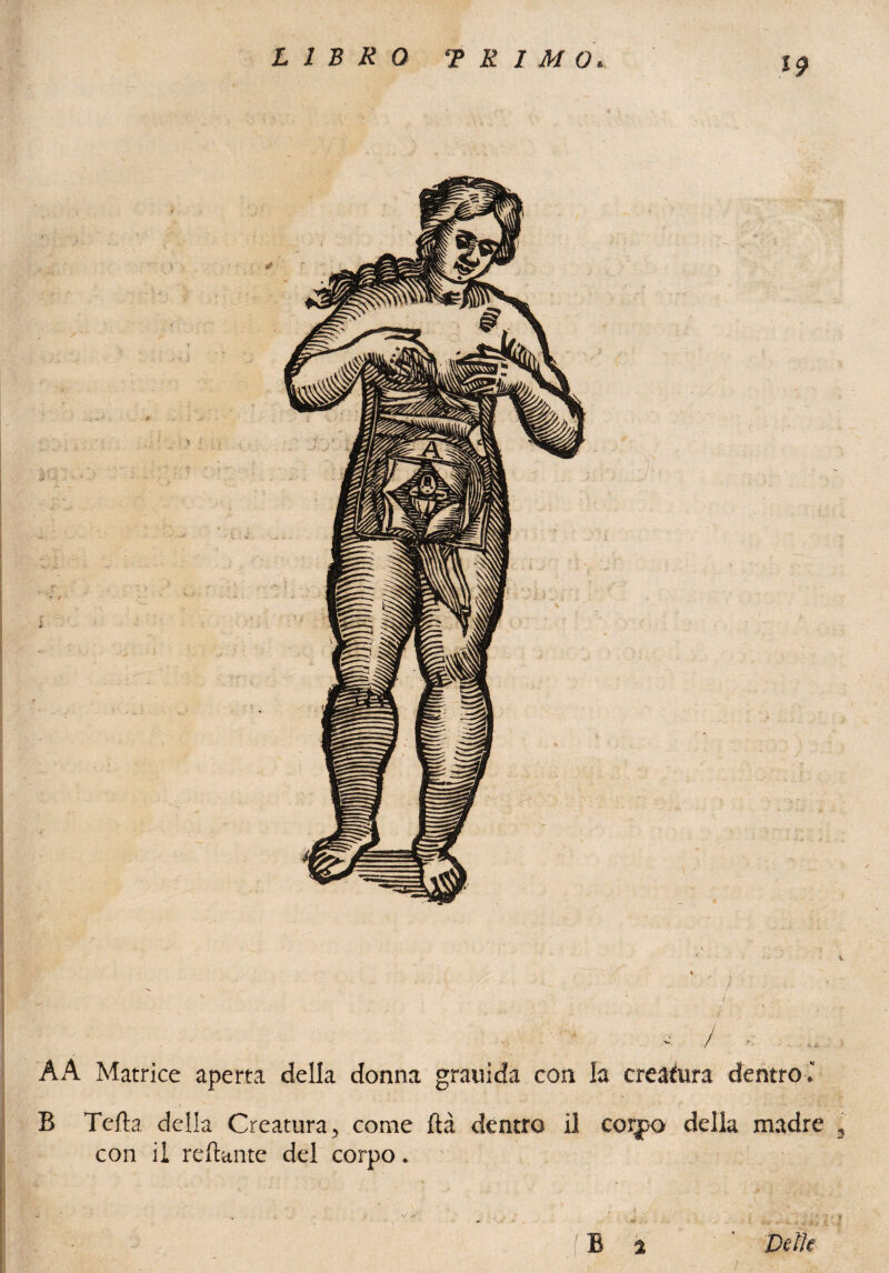LIBRO ? R IMO. 19 -1 / AA Matrice aperta della donna grauida con la creatura dentro. B Telia della Creatura, come Ita dentro il corjpo della madre , con il rellante del corpo. - •* * •* ^ . • * * *