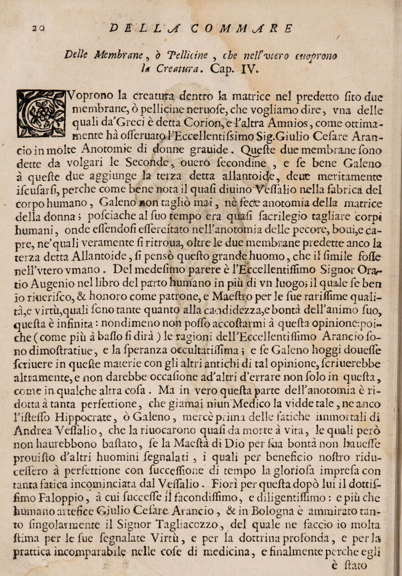 '* / Delle Membrane * ò Telile ine * che ncll’vtero cucirono la Creatura. Cap. IV* Voprono la creatura dentro la matrice nel predetto fitodue membrane* òpellidneneruofe* che vogliamo dire* vna delle quali da'Greci è detta Corion* e l'altra Àmnios * come ottima¬ mente ha ofleruat^l'Eccelientifsimo Sig.Giulio Cefare Aran¬ cio in moke Anotomic di donne grauide. Quefte due membrane fono dette da volgari le Seconde* ouero fecondine ., e fe bene Galena à quefte due aggiunge la terza detta allantoicfe* deue meritamente ifeufarfi* perche come bene nota il quali diiiino Veflàlio nella fabrica del corpo humano* Galeno mon tagliò mai * nèfede anotomia della matrice della donna; pofciache alfuo tempo era quali facrilegio-tagliare corpi humani* onde elfendofi elfercitato nelfanotomia delle pecore* boui,e ca¬ pre* ne'quali veramente fi ritroua, oltre le due membrane predette anco la terza detta Ailantoide * fi pensò quello grande huomo * che il limile folle nelfvterovmano . Del medefimo parere è rEccellentilfimo Signor Ora~ tio Augenio nel libro del parto humano in più di vn luogo; il quale fe ben io riuerifeo* & honoro come patrone* e Maeftro per le fue rariifime quali- tà*e virtù*quali fono tante quanto alla caodidezza*ebontà dell'animo fuo* quella è infinita : nondimeno non poffo accollarmi à quella opinione-poi*, che ( come più à ballo fi dirà ) le ragioni deH'ÉccellentilTimo Arancio fo¬ no dimoftratiue* e la fperanza occultatiftima * e fe Galeno hoggi douelfe fcriuere in quefte materie con gli altri antichi di tal opinione* fermerebbe altramente* e non darebbe occafione ad'altri d’errare non folo in quella * come in qualche altra cofa . Ma in vero quella parte dell'anotomia è ri¬ dotta à tanta perfettione, che giamai niun Medico la vidde tale * ne anco riftelfo Hippocrate* ò Galeno* mercè prima delle fatiche immortali di Andrea Veffalio * che la nuotarono quali da morte à vita * le quali però non haurebbono ballato* fe la Madia di Dio per fina bontà non baticlTe prouifìo d'altri huomini fegnalati * i quali per beneficio nollro ridu- ceflero à perfettione con fucceflione di tempo la glofiofa imprefa con tanta fatica incominciata dal Veifalio. Fiorì per quella dopò lui il dottif- firno Faloppio * à cui fuccclfe il facondiffimo* ediligentiffimo : e più che hurnano artefice Giulio Celare Arancio * & in Bologna è ammirato tan¬ to fingolarmente il Signor Tagliacczzo * del quale ne faccio io molta ftima per le fue fegnalatc Virtù, e per la dottrina profonda * e perla prattica incomparabile nelle cofe di medicina* e finalmente perche egli ; è fiato