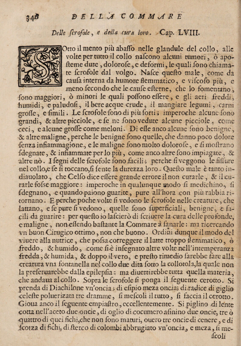 Delle fcrofole , e deila cut a loro . C ap. L TIIL )ttoil mento piu abafTo nelle glandule del collo, alle volte per tutto il collo nafcono alcuni tumori, ò apo- fteme dure , dolorofe, e deformi, le quali fono chiama¬ te fcrofole dal volgo. Nafce quefto male, come da caufa interna da humore flemmatico 5 e vifcofo più, e meno fecondo che le caufo eftcrne, che lo fomentano , fono maggiori, o minori le quali polfono effere, e gli aeri freddi, humidi, e paludofi, il bere acque crude, il mangiare legumi, carni grotte, e limili. Le fcrofole fono di piu forti ; imperoche alcune fono grandi, & altre picciole, e fe ne fono vedute alcune picciole , come ceci, e alcune grolfe come meloni. Di effe anco alcune fono benigne , & altremaligne, perche le benigne fono quelle, che danno poco dolore fonza infiammagione, e le maligne fono molto dolorofe, e fi moftrano fdegnate, & infiammate per lo piu, come anco altre fono impiagate , & altre nò. Ifegni delle fcrofole fono facili; perche fi veggono le Affare nei collo,ele fi toccano,fi lente la durezza loro - Quefto male è tanto in- diauolato , che Celfo dice effere grande errore il non curarle , & il cu¬ rarle fofse maggiore.: imperoche in qualunque modo fi medichino, fi fdegnano , e quando paiono guarite, pure alfhora con più rabbia ri¬ tornano . E perche poche volte fi vedono le fcrofole nelle creature, che lattano, e fe pure fi vedono, quelle fono fuper Sciali, benigne, c fa¬ cili da guarire : per quefto io lafcierò di fcriuere la cura delle profonde, c maligne, no mettendo badante la Commare a fonarle : ma ricercando vn buon Cirugico ottimo, non che buono.* Ordini dunque ilmodo del viuere alla nutrice, che pofsacorreggere il latte troppo flemmatico, ò freddo , & humido, coinè fi*è infognato altre volte neirintemperanza fredda, & humida, & doppo il vero, e pretto rimedio farebbe fare alla creatura vna fontanella nel collo due dita fotto la collotola,!a quale non la preforuarebbe dalla epilepfia: ma diuertirebbe tutta quella materia, che andaua al collo .. Sopra le fcrofole fi ponga il foguente cerotto. Si prenda di Diachilone vifoncia 5 di efipio meza oncia; di radice di giglio celeftepoluerizata tre dramme , fi mefcoli il tutto, fi faccia il cerotto,. Gioua anco il fogliente empiaftro, eccellentemente . Si piglino di lente cottaiiclfaceto due onde,di oglio di cocumeroattuino due onde, creò 'quattro di quei fichi,che non fono maturi, onero tre onde di cenere, e di Jcorza di fichi, diftereo di colombi abbtugiato vn oncia, e meza , fi me- fooli