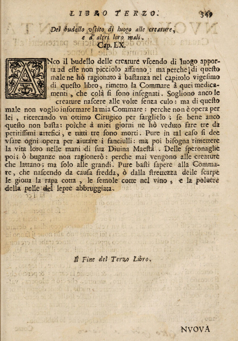 Del indillo ‘vfcìto di luogo alle cnature^ e d' altri, loro '• :*;• i 1 > 1 * > •' , & JUs'*S«i>© /u \ ) r f f ; /1 Nco il budello delle creatura vfeendo di luogo appor¬ ta ad effe non picciolo affannò : ma perche |di queff® male ne ho ragionato à baftanza nel capitolo vige fimo di quello libro , rimetto la Commare à quei medica¬ menti , che colà fi fono infognati. Sogliono anco le creature nafeere alle volte lènza culo : ma di quell® male non voglio Informare la mia Gommare : perche non è opera per lei , ricercando vh ottimo Cirugico per farglielo ; fe bene anco quello non balla: poiché i miei giorni ne hò veduto fare tre da peritiflkni artefici, e tutti tre fono morti. Pure in tal cafo fi dee vfare 'Ogni opera per aiutare i fanciulli : ma poi bifbgna rimettere la vita loro nelle mani di fua Diuina Maellà,. Delle fperonaglie poi ; ò buganze non ragionerò : perche mai vengono alle creature che lattano; ma folo alle grandi. Pure balli fapere alla Gomma¬ re, che nafeendo da caufa fredda, ò dalla ftrettezza deile fcarpe le gioua la rapa cotta , le fcmole cotte nel vino ■* « la 1 = X> i H firn del Terzo Zèro NVOVA