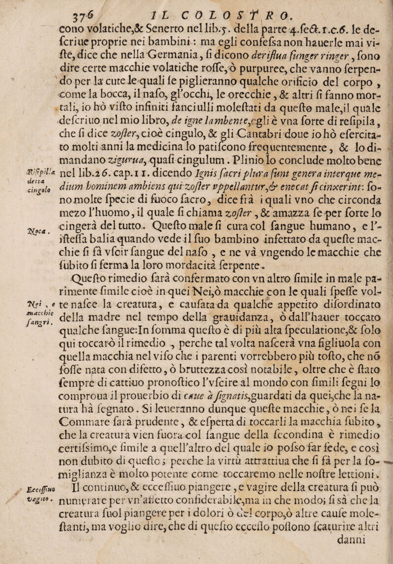 illiftprUa detta cìngolo Tfcca. *Hs* , e .macchie fangri. EtceJJìUQ Vagito . 37é IL COLO $ f R 0. cono volatiche,SeSenerto nellib.j. dellaparte ^.ScÙ.t.c.6. le de- fcriue proprie nei bambini : ma egli confefsa non hauerle mai vi¬ lle, dice che nellaGermania, fi dicono derifiua funger Tinger, fono dire certe macchie volatiche rofTe,ò purpuree, che vanno ferpen- do per la'cute ie quali le piglieranno qualche orificio del corpo , come la bocca, il nafo, grocchi, le orecchie , & altri fi fanno mor¬ tali, io ho villo infiniti fanciulli moleftati da quell© male,il quale deferirlo nel mio libro, de igne lambenteggliè vna forte di refipila, che fi dice zojler^ cioè cingulo, & gli Cantabri doue iohò efercita- to molti anni la medicina lo patifeono frequentemente, & lo di- mandano ziguma, qualicingulum. Plinio lo conclude molto bene nel lib. 2 6. cap. 11. dicendo lgnis [acriplura funt genera interque me¬ dium hominem ambiens quizojìer vppdlanturfó enecat Jicinxerint: fo¬ no molte fpecie di fuoco facro, dice fra i quali vno che circonda mezo rhuomo, il quale fi chiama zojìer, & amanza fe per forte lo cingerà del tutto. Quello male fi cura col fangue humano, eT~ iftefta balia quando vede ilfuo bambino infettato da quelle mac¬ chie fi fa vfeir fangue del nafo , e ne va vagendo le macchie che fùbito fi ferma la loro mordacità ferpente • Quefto rimedio farà confermato con vn altro limile in male pa¬ rimente limile cioè in quei Nei,ò macchie con le quali fpelfe vol¬ te nafee la creatura, e caufatada qualche appetito difordinato della madre nel tempo della gravidanza, òdalfhauer toccato qualche fangue:Infomma quello è di più alta fpeculatione,& folo qui toccare il rimedio , perche tal volta nafeerà vna figliuola con quella macchia nel vile che i parenti vorrebbero più tollo, che nó folle nata con difetto, ò bruttezza così notabile, oltre che è fiato femprè di cattino pronoftico Tvfcire al mondo con limili fegni lo comproua il prouerbio di cane afignathfèuzxdztì da quei,che la na¬ tura ha legnato. Si Ietteranno dunque quelle macchie, ò nei fe la Commare farà prudente, & efperta di toccarli la macchia fubito, che la creatura vien fuora col (angue della fccondina è rimedio certifsimo^e limile a quelfaltro del quale io polso far lède, e così non dubito di quefto s perche la virtù attrattiua che fi fà per la fo- *■ miglianza è molto potente come tcccaremo nelle noftre lettioni. Il continuo, & ecceffiuo piangere , e vagire della creatura fi può numerate per vn’atìetto conliderabile,ma in che modo; fi sà che la creatura fuol piangere per i dolori ò del corpo,ò altre caule mole- ftanti, ma voglio dire, che di quefto eccello pollono fcaturire altri danni