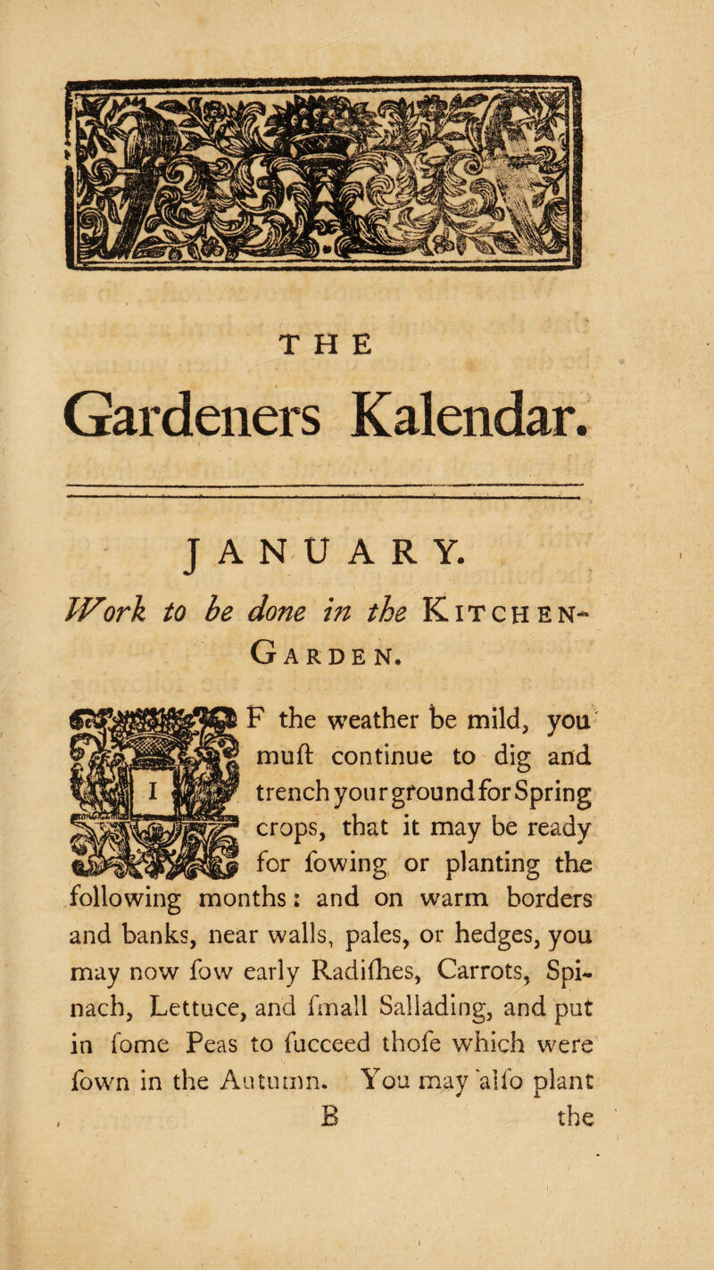 Gardeners Kalendar. JANUARY. JVork to be done in the Kitchen- Garden, F the weather be mild, you muft continue to dig and trench you r ground for Spring crops, that it may be ready for fowing or planting the following months: and on warm borders and banks, near walls, pales, or hedges, you may now fow early Radifhes, Carrots, Spi^ nach. Lettuce, and fmall Sallading, and put in fome Peas to fucceed thofe which were fown in the Autumn. You may aifo plant B the