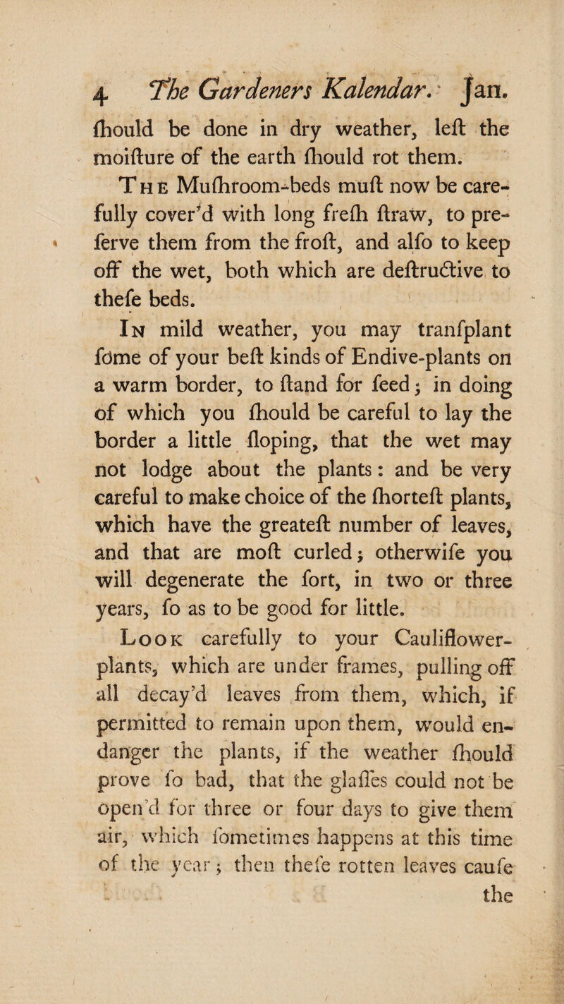 fhould be done in dry weather, left the moifture of the earth ftiould rot them. The Mufliroom-^beds muft now be care¬ fully cover’*d with long frefti ftraw, to pre- ferve them from the froft, and alfo to keep off the wet, both which are deftrucftive to thefe beds. ' In mild weather, you may tranfplant fdme of your beft kinds of Endive-plants on a warm border, to ftand for feed • in doing of which you fhould be careful to lay the border a little doping, that the wet may not lodge about the plants: and be very careful to make choice of the (horteft plants, which have the greateft number of leaves, and that are moft curled j otherwife you will degenerate the fort, in two or three years, fo as to be good for little. Look carefully to your Cauliflower- plants, which are under frames, pulling off all decay’d leaves from them, which, if permitted to remain upon them, would en¬ danger the plants, if the weather fhould prove fo bad, that the glafles could not be open’d for three or four days to give them air, which fometimes happens at this time of the year; then thefe rotten leaves caufe the