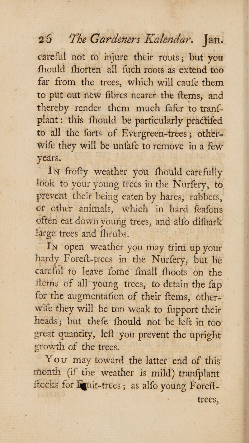 careful not to injure their roots 5 but you fliould iliorten all fuch roots as extend too far from the trees, which will caufe them to put out new fibres nearer the ftems, and thereby render them much fafer to tranf- plant: this fhould be particularly pradtifed to all the forts of Evergreen-trees; other- wife they will be unfafe to remove in a few years. In frofty weather you fliould carefully look to your young trees in the Nurfery, to, prevent their being eaten by hares, rabbets, or other animals, which in hard feafons often eat down young trees, and alfo difbark large trees and flirubs. In open weather you may trim up your hardy Foreft-trees in the Nurfery, but be careful to leave fome fmall fhoots on the ftems of all young trees, to detain the fap for the augmentation of their Items, other- wife they will be too weak to fupport their heads; but thefe fhould not be left in too great quantity, left you prevent the upright growth of the trees. You may toward the latter end of this month (if the weather is mild) tranfplant ftocivS for Bj|uit-trees; as alfo young Forefl- trees.
