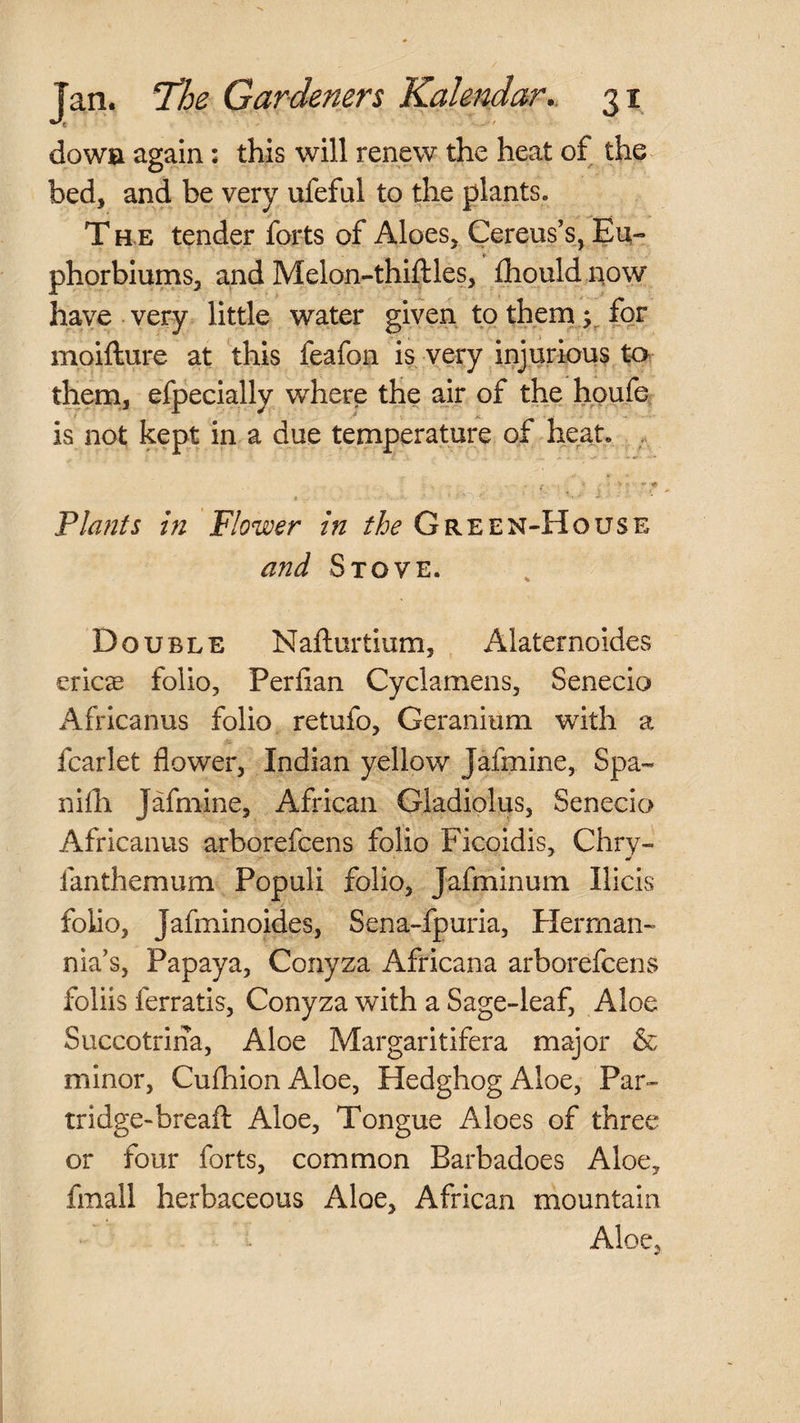 dowa again: this will renew the heat of the bed, and be very ufeful to the plants. T H E tender forts of Aloes, Cereus’s, Eu- phorbiums, and Melon-thiftles, ihouldiiow have very little water given to therqj^ for moifture at this feafon is very injurious ta them, efpecially where the air of the houfe is not kept in a due temperature of heat. . y - T, * ' ’ , 4 ■ - Plants in Flower in the Green-House and Stove. Double Nafturtium, Alaternoides erics folio, Perhan Cyclamens, Senecio Africanus folio retufo. Geranium with a fcarlet flower, Indian yellow Jafmine, Spa- nifli Jafmine, African Gladiolus, Senecio Africanus arborefcens folio Ficoidis, Chry- fanthemum Populi folio, Jafminum Ilicis folio, Jafminoides, Sena-fpuria, Plerman- nia’s, Papaya, Conyza Africana arborefcens foliis ferratis, Conyza with a Sage-leaf, Aloe Succotrina, Aloe Margaritifera major & minor, Cufhion Aloe, Hedghog Aloe, Par- tridge-breafl: Aloe, Tongue Aloes of three or four forts, common Barbadoes Aloe, fmall herbaceous Aloe, African mountain Aloe,