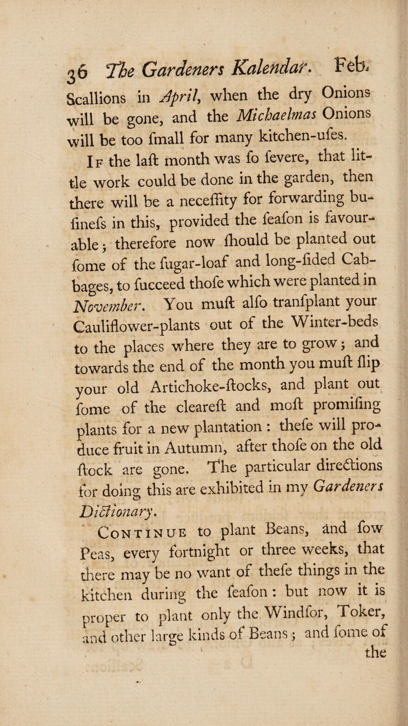 Scallions in j^pril^ when the dry Onions will be gone, and the Michaelmas Onions will be too fmall for many kitchen-ufes. If the laft month was fo feveie, that lit¬ tle work could be done in the garden, then there will be a neceffity for forwarding bu- finefs in this, provided the feafon is favour¬ able ; therefore now fliould be planted out fome of the fugar-loaf and long-fided Cab¬ bages, to fucceed thofe which were planted in Move??iber• You muft alfb tranfplant youi Cauliflower-plants out of the Winter-beds to the places where they are to grow ^ and towards the end of the month you muft flip your old Artichoke-ftocks, and plant out fome of the cleared: and moft promifing plants for a new plantation : thefe will pro¬ duce fruit in Autumn, after thofe on the old ftock are gone. T*he particular directions for doing this are exhibited in my Gardeners Diclionary, Continue to plant Beans, and fow Peas, every fortnight or three weeks, that there may be no want of thefe things in the kitchen during the feafon : but now it is proper to plant only the Windfor, Toker, and other large kinds of Beans; and fome of
