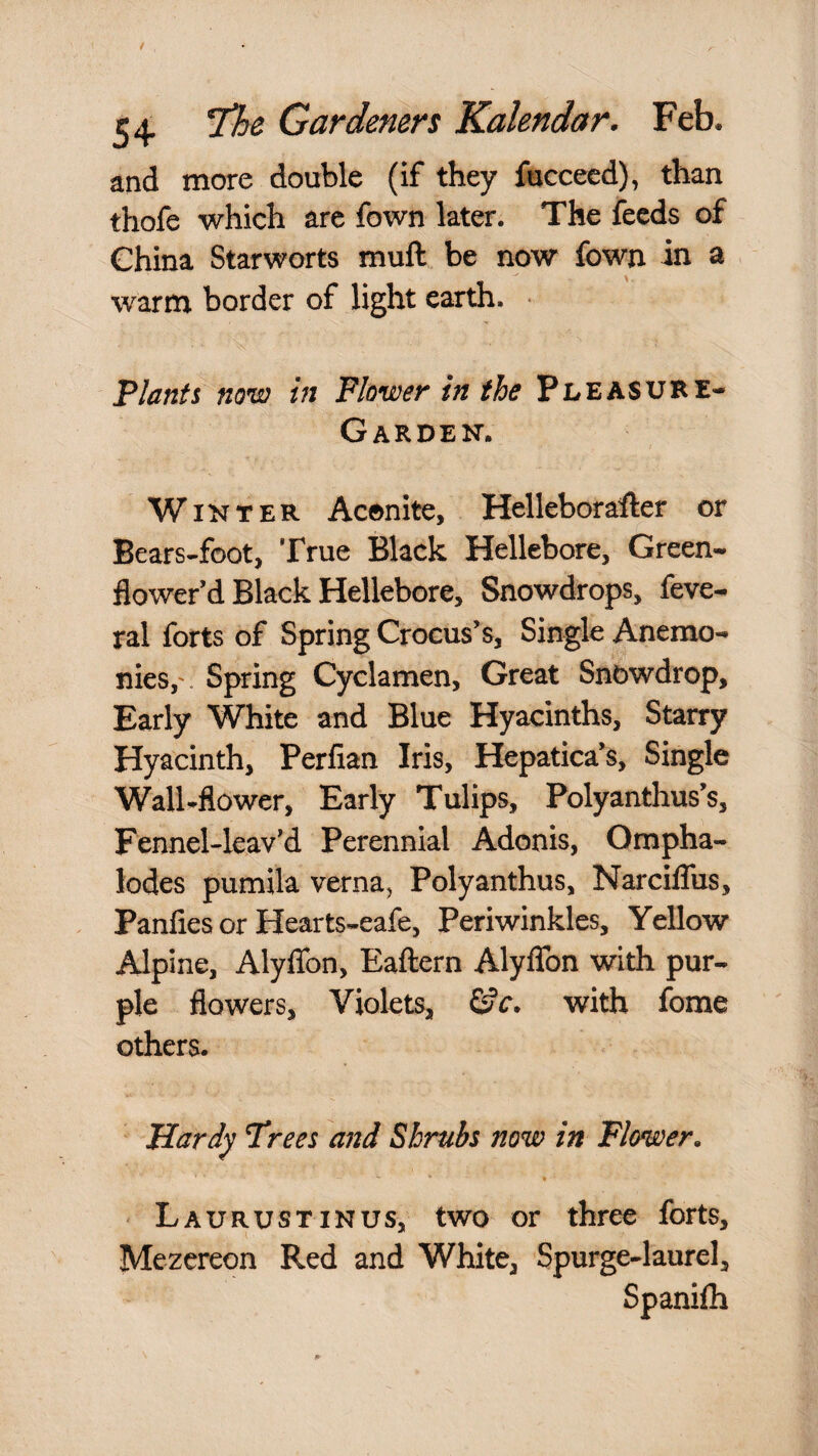 and more double (if they fucceed), than thofe which are fown later. The feeds of China Starworts muft be now fown in a warm border of light earth. • Plants now in Flower in the Pleasure- Garden. Winter Aconite, Helleborafter or Bears-foot, True Black Hellebore, Green- flower’d Black Hellebore, Snowdrops, feve- ral forts of Spring Crocus’s, Single Anemo- nies,'. Spring Cyclamen, Great Snowdrop, Early White and Blue Hyacinths, Starry Hyacinth, Perfian Iris, Hepatica’s, Single Wall-flower, Early Tulips, Polyanthus’s, Fennehlcav’d Perennial Adonis, Ompha- lodes pumila vernaj Polyanthus, NarcilTus, Panfies or Hearts-eafe, Periwinkles, Yellow Alpine, Alyflbn, Eaftern Alyflbn with pur¬ ple flowers, Violets, Sfc. with fome others. Hardy Trees and Shrubs now in Flower, \ Laurustinus, two or three forts, Mezereon Red and White, Spurge-laurel, Spanilh