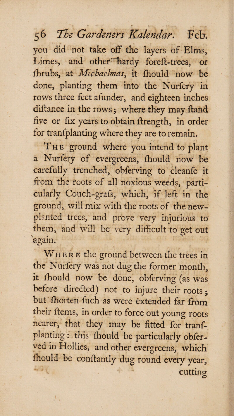 you did not take ofF the layers of Elms, Limes, and other-^’tiardy foreft-trees, or fhrubs, at Michaelmas^ it fliould now be done, planting them into the Nurfery in rows three feet afunder, and eighteen inches diftance in the rows; where they may ftand five or fix years to obtain ftrength, in order for tranfplanting where they are to remain. The ground where you intend to plant a Nurfery of evergreens, fhould now be carefully trenched, obferving to cleanfe it from the roots of all noxious weeds, parti¬ cularly Couch-grafs, which, if left in the ground, will mix with the roots of the new- planted trees, and prove very injurious to them, and will be very difficult to get out again. Wh E R E the ground between the trees in the Nurfery was not dug the former month, it fhould now be done, obferving (as was before diredted) not to injure their roots; but fhorten fuch as were extended far from their flems, in order to force out young roots nearer, that they may be fitted for tranf¬ planting : this fliould be particularly obfer- ved in Hollies, and other evergreens, which fhould be conftantly dug round every year, cutting