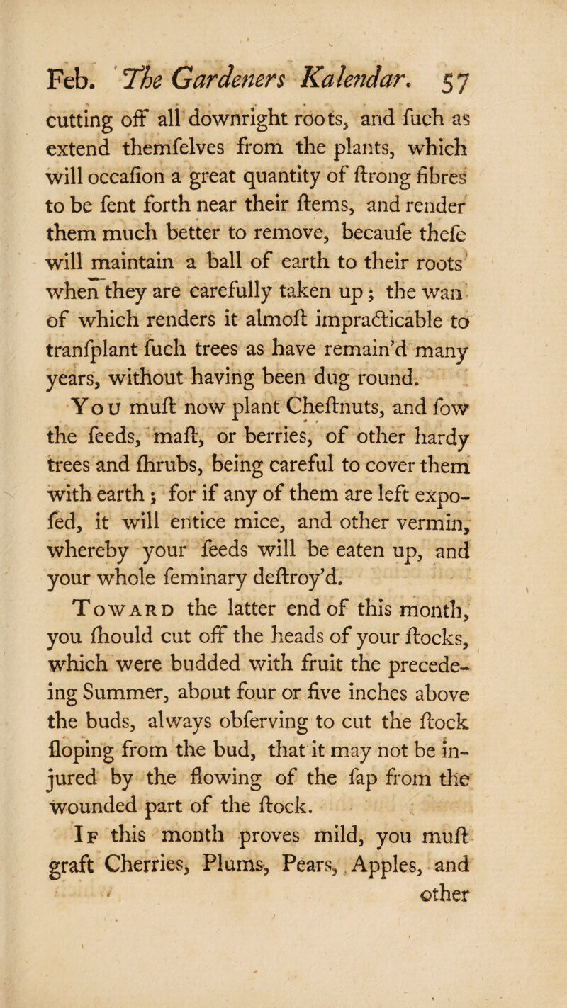 cutting off all downright roots, and fuch as extend themfelves from the plants, which will occafion a great quantity of ftrong fibres to be fent forth near their ftems, and render them much better to remove, becaufe thefe will maintain a ball of earth to their roots when they are carefully taken up * the wan ’ of which renders it almoft imprafticable to tranfplant fuch trees as have remain'd many years, without having been dug round. i You muft now plant Gheftnuts, and fow the feeds, maft, or berries, of other hardy trees and fhrubs, being careful to cover them with earth; for if any of them are left expo- fed, it will entice mice, and other vermin; whereby your feeds will be eaten up, and your whole feminary deftroy'd. Toward the latter end of this month, you fhould cut olF the heads of your ftocks, which were budded with fruit the precede- ing Summer, about four or five inches above the buds, always obferving to cut the ftock floping from the bud, that it may not be in¬ jured by the flowing of the fap from the wounded part of the flock. If this month proves mild, you muft graft Cherries, Plums, Pears,, Apples, • and ' other