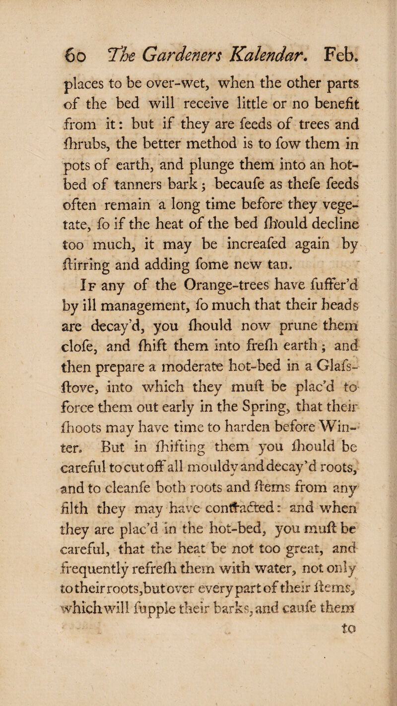 places to be over-wet, when the other parts of the bed will receive little or no benefit from it: but if they are feeds of trees and flirubs, the better method is to fow them in pots of earth, and plunge them into an hot¬ bed of tanners bark; becaufe as thefe feeds often remain a long time before they vege¬ tate, fo if the heat of the bed fhould decline too much, it may be increafed again by ftirring and adding fome new tan. If any of the Orange-trees have fuffer’d by ill management, fo much that their heads are decay’d, you fliould now prune them clofe, and fhift them into frefli earth; and then prepare a moderate hot-bed in a Glafs- ftove, into which they muft be plac’d to force them out early in the Spring, that their ' flioots may have time to harden before Win¬ ter, But in fliifting them you finould be careful to cut off all mouldy and decay’d roots, and to cleanfe both roots and ftems from any filth they may have contl-adted: and when they are plac’d in the hot-bed, you muft be careful, that the heat be not too great, and frequently refrefli them with water, not only totheirrootSjbutover every part of their llems„ which will fupple their barks, and caufe them to
