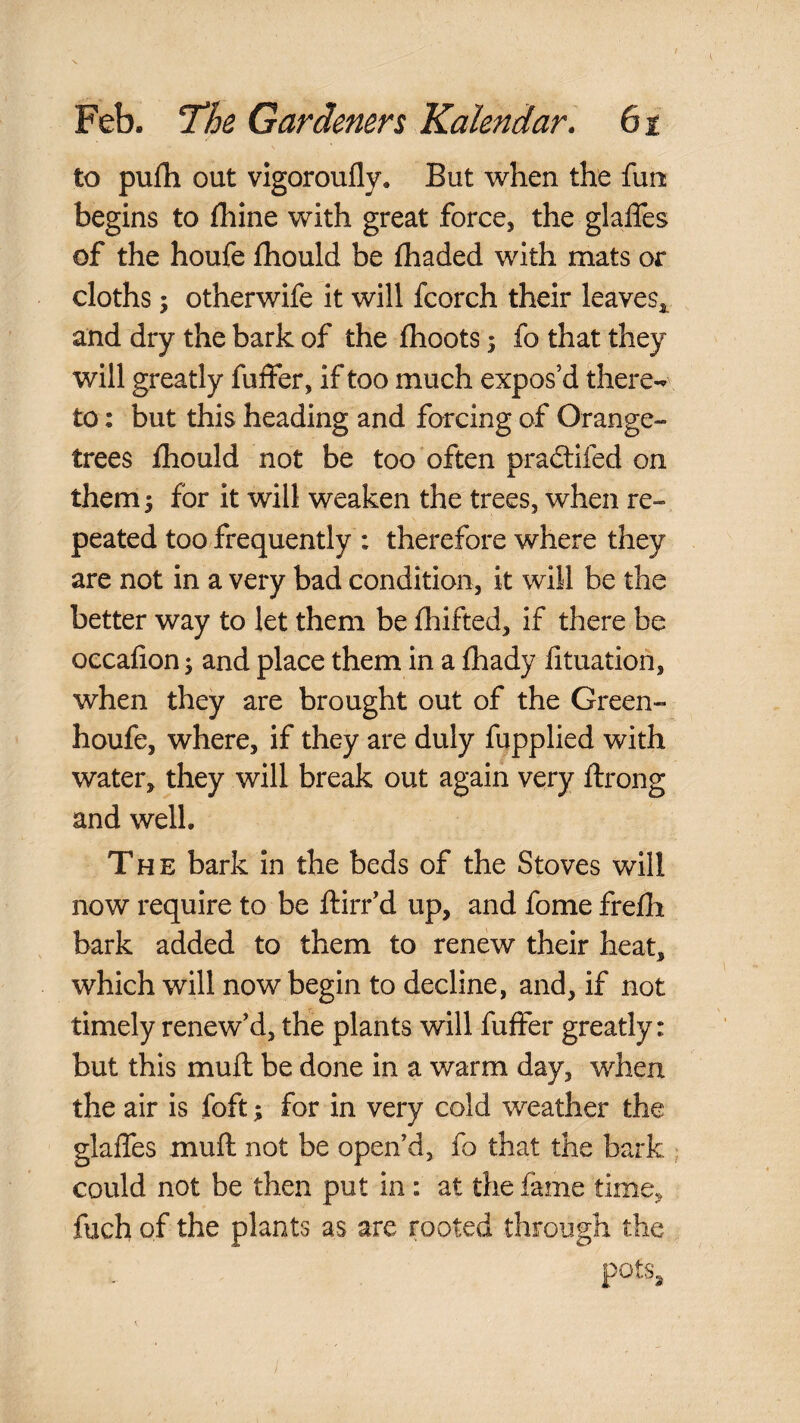 to pufh out vigoroufly. But when the fun begins to fhine with great force, the glalfes of the houfe fhould be fhaded with mats or cloths 5 otherwife it will fcorch their leaves,_ and dry the bark of the fhoots 5 fo that they will greatly fuifer, if too much expos’d there-^ to: but this heading and forcing of Orange- trees fhould not be too often pradtifed on them 3 for it will weaken the trees, when re¬ peated too frequently : therefore where they are not in a very bad condition, it will be the better way to let them be fhifted, if there be occalion 3 and place them in a lhady fituation, when they are brought out of the Green- houfe, where, if they are duly fupplied with water, they will break out again very ftrong and well. The bark in the beds of the Stoves will now require to be ftirr’d up, and fome frefh bark added to them to renew their heat, which will now begin to decline, and, if not timely renew’d, the plants will fulfer greatly: but this muft be done in a warm day, when the air is foft 3 for in very cold weather the glalfes muft not be open’d, fo that the bark ; could not be then put in : at the fame time, fuch of the plants as are rooted through the pots^
