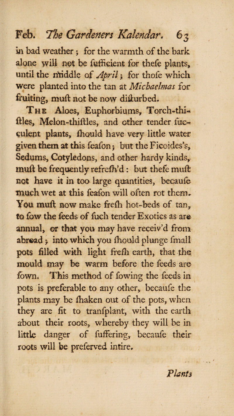 in bad weather j for the warmth of the bark alone will not be fnfficient for thefe plants, until the ririddle of April 5 for thofe ¥/hich were planted into the tan at Michaelmas for fruiting, muft not be now difl:urbed* The Aloes, Euphorbiums, Torch-^thl-* files, Melon-thiftles, and other tender fuc*^ culent plants, fhould have very little water given them at this feafonj but the Fieoides’s, Sedums, Cotyledons, and other hardy kinds, muft be frequently refreifh^d: but thefe muft: not have it in too large quantities, becaufe much wet at this feafon will often rot them*^ You muft now make frefli hot-beds of tan,, to fow the feeds of fuch tender Exotics as are annual, or that you may have receiv’d from abroad > into which you ftiould plunge fniall pots filled with light frefli earth, that the mould may be warm before the feeds are fbwn. This method of fowing the feeds in pots is preferable to any other, becaufe the plants may be fiiaken out of the pots, when they are fit to tranfplant, with the earth about their roots, whereby they will be in little danger of fuffering, becaufe their roots will be preferved intire* Plants