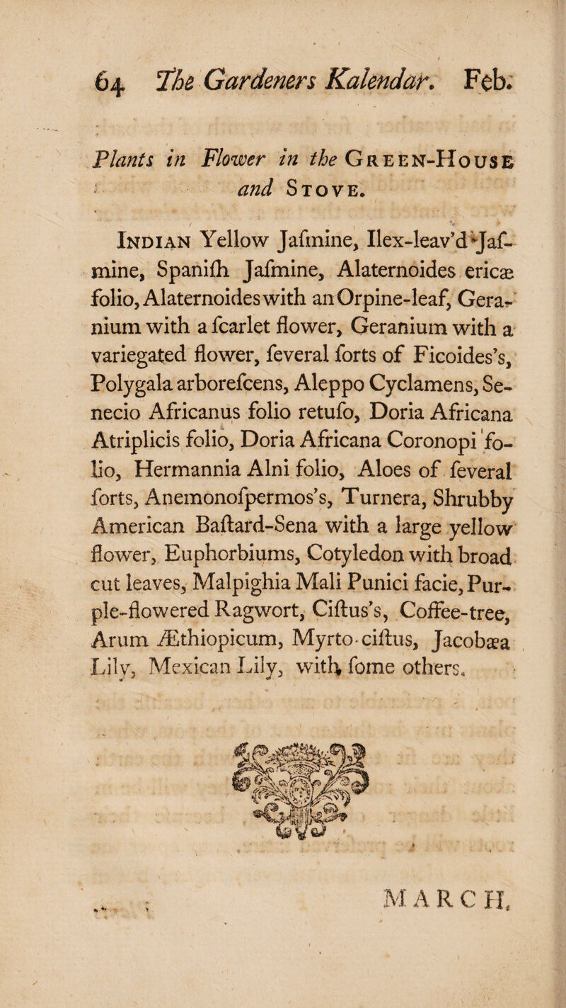 t '' Plants in Flower in Green-House and Stove. Indian Yellow Jafinine, Ilex-leav’d^Jaf- mine, Spanifli Jafmine, Alaternoides eric^ folio, Alaternoides with an Orpine-leaf, Gerar nium with a fcarlet flower, Geranium with a* variegated flower, feveral forts of Ficoides’s, Polygala arborefcens, Aleppo Cyclamens, Se- necio Africanus folio retufo, Doria Africana Atriplicis folio, Doria Africana Coronopi fo¬ lio, Hermannia Alni folio. Aloes of feveral forts, Anemonofpermos's, Turnera, Shrubby American Baftard-Sena with a large yellow flower, Euphorbiums, Cotyledon with broad^ cut leaves, Malpighia Mali Punici facie. Pur-, pie-flowered Ragwort, Ciflus’s, Coffee-tree, Arum iEthiopicum, Myrto*cifl:us, Jacoba^a Lily, Mexican Lily, with feme others* M A R C II. 1