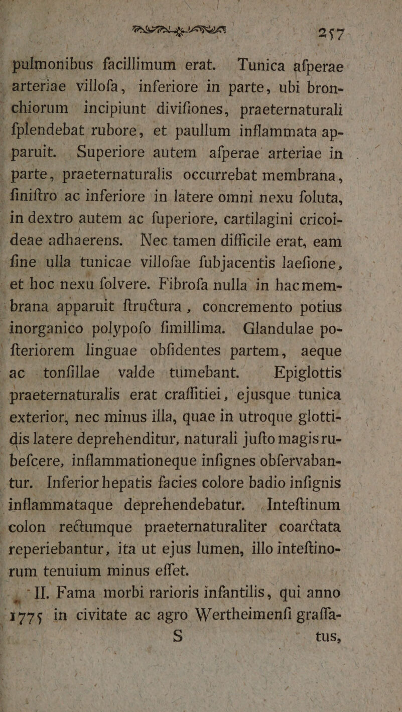 I NS PAR VANNDAT C 257 A fteriorem linguae obfidentes partem, aeque S * LU EUS;