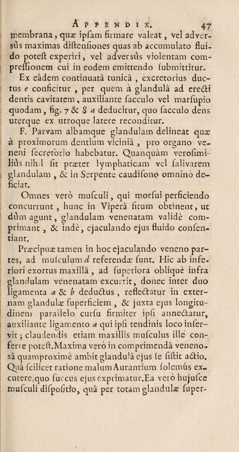 membrana, quas ipfam firmare valeat, Vel adver- siis maximas diftenfiones quas ab accumulato flui¬ do poteA experiri, vel adversus violentam com- preffionem cui in eodem emittendo lubmittitur. Ex eadem continuata tunica , excretorius duc¬ tus e conficitur , per quem a glandula ad eredti dentis cavitatem , auxiliante facculo vel marfupio quodam, fig. 7 Sc 8 a deducitur, quo facculo dens uterque ex utroque latere reconditur. F. Parvam albamque glandulam delineat qux a proximorum dentium vicinia , pro organo ve¬ neni fecretorio habebatur. Quanquam verofimi- lius nih.l fit praster lymphaticam vel falivarem glandulam , 5c in Serpente caudifono omnino de¬ ficiar. Omnes vero mufculi, qui morfui perficiendo concurrunt , hunc in Vipera fitum obtinent, ut dum agunt glandulam venenatam valide com- primane , & inde, ejaculando ejus fluido confen- tiant. Prxcipux tamen in hoc ejaculando veneno par¬ tes, ad muiculumd referendas (unt. Hic ab infe¬ riori exortus maxilla , ad fuperiora oblique infra glandulam venenatam excurrit, donec inter duo ligamenta a 5c b dedudlus, refledtatur in exter¬ nam glandulae fuperficiem , & juxta ejus longitu¬ dinem parallelo curfu firmiter ipfi annedfatur, auxiliante ligamento a qui i pii tendinis locoinler- vit; claudendis etiam maxillis mufculus ille con¬ ferre potefl.Maxima vero in comprimenda veneno» sa quamproxime ambit glandula ejus (e fiftit adtio. Qua, Icilicet ratione malum Aurantium (olemus ex¬ cutere,quo fuccus ejus exprimatur.Ea verohujufce mufculi difpofitioj. qua per totam glandulas fuper-
