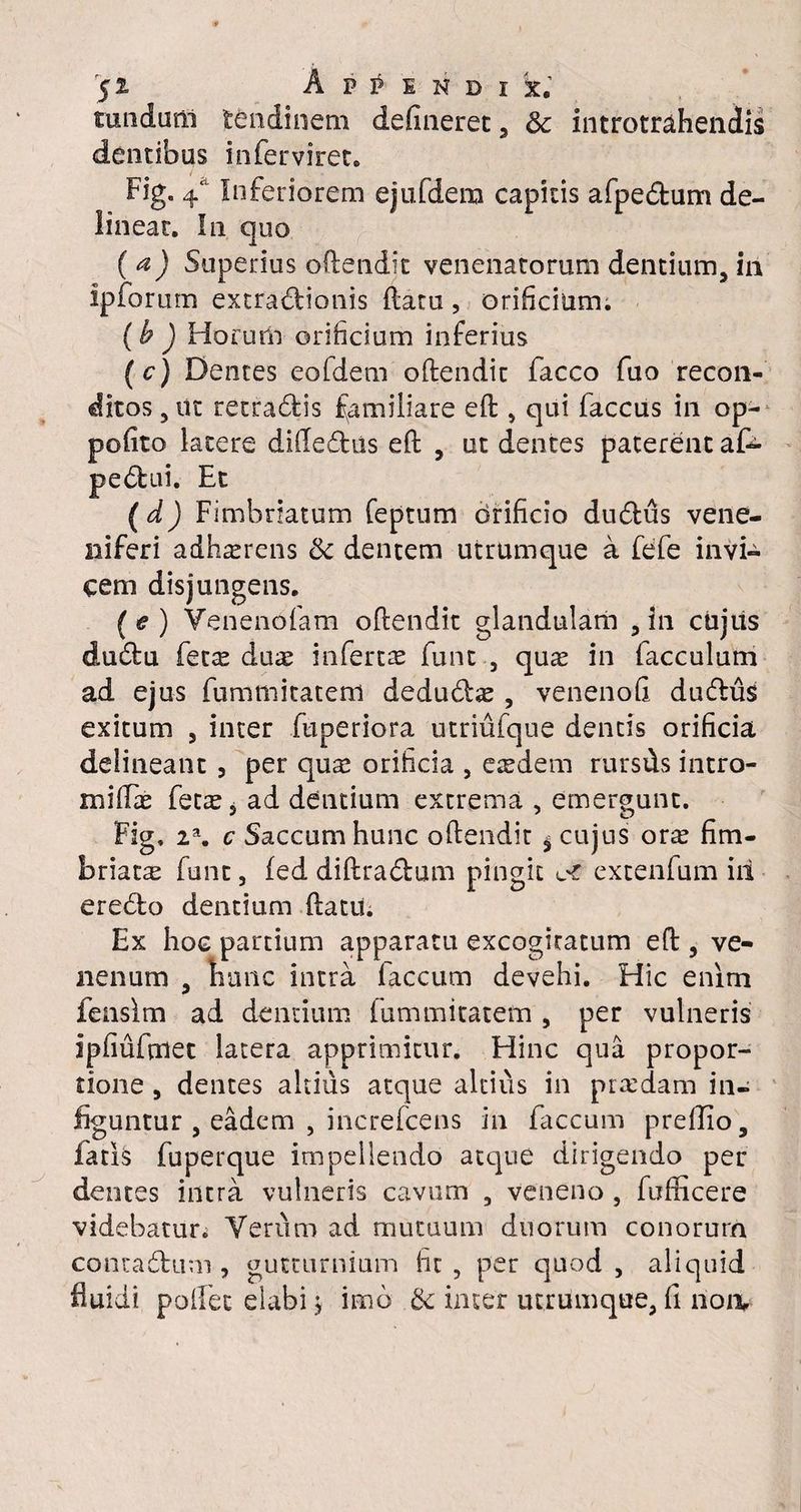 tuiidutli tendinem defineret, & introtraheniis dentibus inferviret. Fig. 4 Inferiorem ejufdem capitis afpe&um de¬ lineat. In quo (a) Superius oftendit venenatorum dentium, in ipforum extraflionis ftatu, orificium. (h ) Horum orificium inferius (c) Dentes eofdem oftendit facco fuo recon¬ ditos , iit retraffcis familiare eft , qui faccus iii op- pofito latere difte&us eft , ut dentes paterent aD- pe6Uii. Et (d) Fimbriatum feptum drificio dudtus vene¬ niferi adherens tk dentem utrumque a fefe invi¬ cem disjungens. (e ) Venenofam oftendit glandulam , in cujus dudfcu fette duae infertae funt , quae in facculum ad ejus fummitatem dedmftae , venenofi ducftus exitum , inter fuperiora utriufque dentis orificia delineant , per quae orificia , etedem rursfts intro- mifiTae fetae, ad dentium extrema , emergunt. Fig, 2a. c Saccum hunc oftendit $ cujus orae fim¬ briata: funt, fed diftradbum pingit ot extenfum iii eredto dentium ftatit. Ex hoc partium apparatu excogitatum eft , ve¬ nenum , hunc intra laccum devehi. Hic enim fenslm ad dentium fummitatem , per vulneris ipfiufmet latera apprimitur. Hinc qua propor¬ tione , dentes altius atque altius in pradam in¬ figuntur , eadem , increfcens in faecum preffio, fatis fuperque impellendo atque dirigendo per dentes intra vulneris cavum , veneno , fufficere videbatur. Verum ad mutuum duorum conorurn contadhim , gumirnium fit , per quod , aliquid fluidi pollet elabi j imo & inter utrumque, fi 11011,