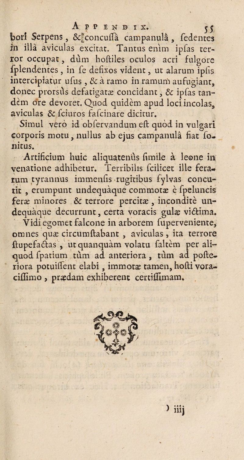Appendix. 55 bori Serpens , STconcuffa campanula, fedentes in illa aviculas excitat. Tantus enim ipfas ter¬ ror occupat, dum hoftiles oculos acti fulgore fplendentes, in fe defixos vident , ut alarum ipfis intercipiatur ufus, & a ramo in ramurli aufugiant, donec prorsus defatigatas concidant, & ipfas tan¬ dem ore devoret. Quod quidem apud loci incolas, aviculas & fciuros fafcinare dicitur. Simul vero id obfervandum ed quod in vulgari corporis motu, nullus ab ejus campanula fiat fo- nitus. Artificium huic aliquatenus fimile a leone in venatione adhibetur. Terribilis fcilicet ille fera¬ rum tyrannus immenfis rugitibus fylvas concu¬ tit , erumpunt undequaque commotas e fpeluncis feras minores Sc terrore percita , incondite un¬ dequaque decurrunt, certa voracis gulas vi<dima0 Vidi egomet falcone in arborem fuperveniente, omnes quas circumdabant , aviculas , ita terrore dupefa&as , utquanquam volatu faltem per ali¬ quod fpatium tum ad anteriora , tum ad pode- riora potuiffent elabi, immotae tamen, hodi vora- ciflimo , prodam exhiberent certifllmam*