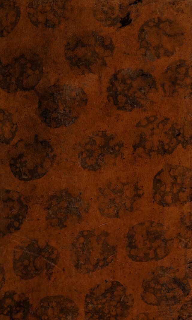 digitised image 1