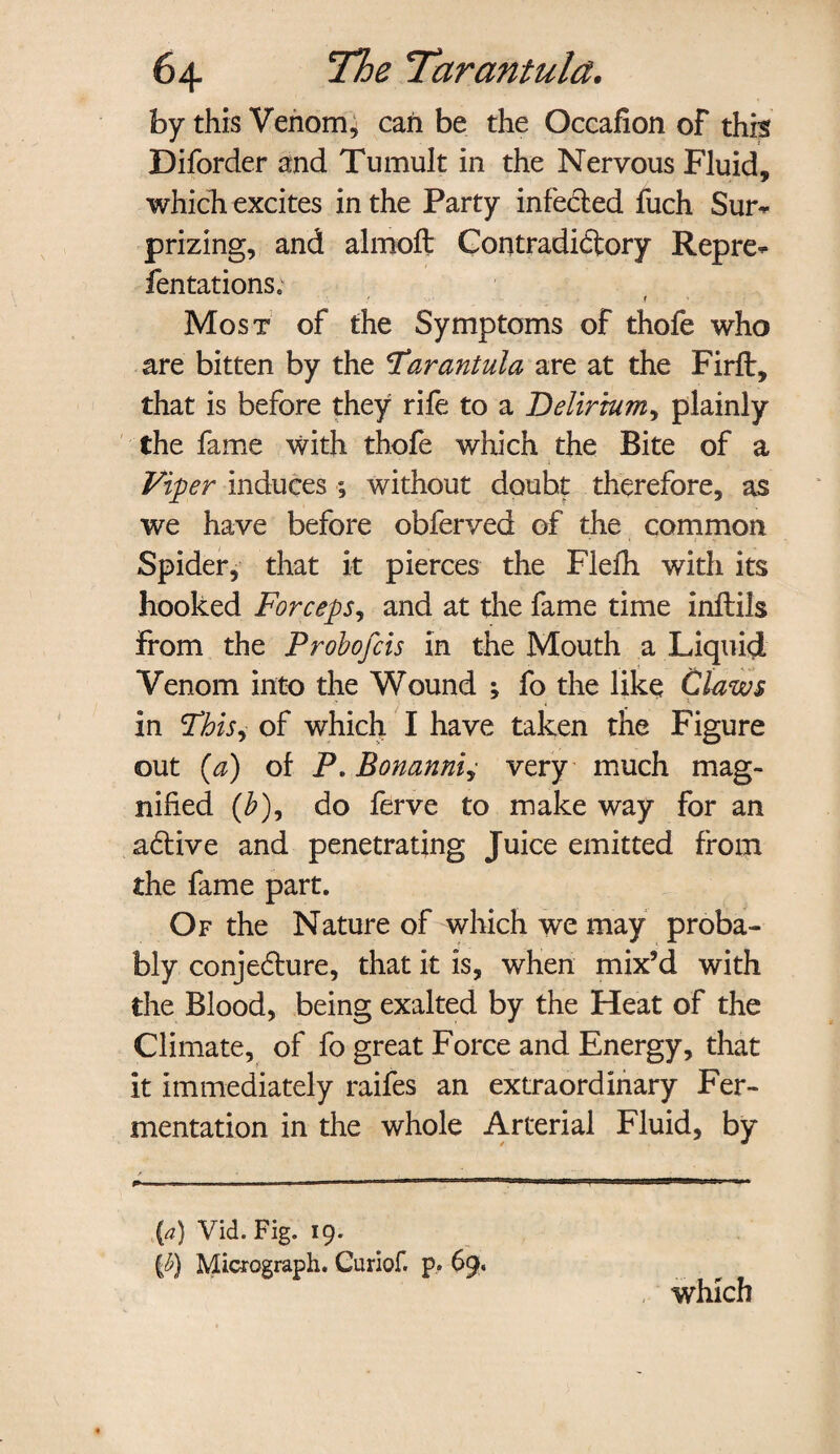 by this Venom, can be the Occafion of this Diforder and Tumult in the Nervous Fluid, which excites in the Party infected fuch Sur*- prizing, and almoft Contradictory Repre* fen tations; ■ \ ' f ' Most of the Symptoms of thofe who are bitten by the ^Tarantula are at the Firfl, that is before they rife to a Delirium, plainly the fame with thofe which the Bite of a Viper induces ; without doubt therefore, as we have before obferved of the common Spider, that it pierces the Flefh with its hooked Forceps, and at the fame time inftils From the Probofcis in the Mouth a Liquid Venom into the Wound ; fo the like Claws in ThiSy of which I have taken the Figure out (a) of P.Bonanniy very much mag¬ nified (b)y do ferve to make way for an active and penetrating Juice emitted from the fame part. Of the Nature of which we may proba¬ bly conjecture, that it is, when mix’d with the Blood, being exalted by the Heat of the Climate, of fo great Force and Energy, that it immediately raifes an extraordinary Fer¬ mentation in the whole Arterial Fluid, by (a) Via. Fig. 19. {h) Micrograph. Guriof. p, 69. which