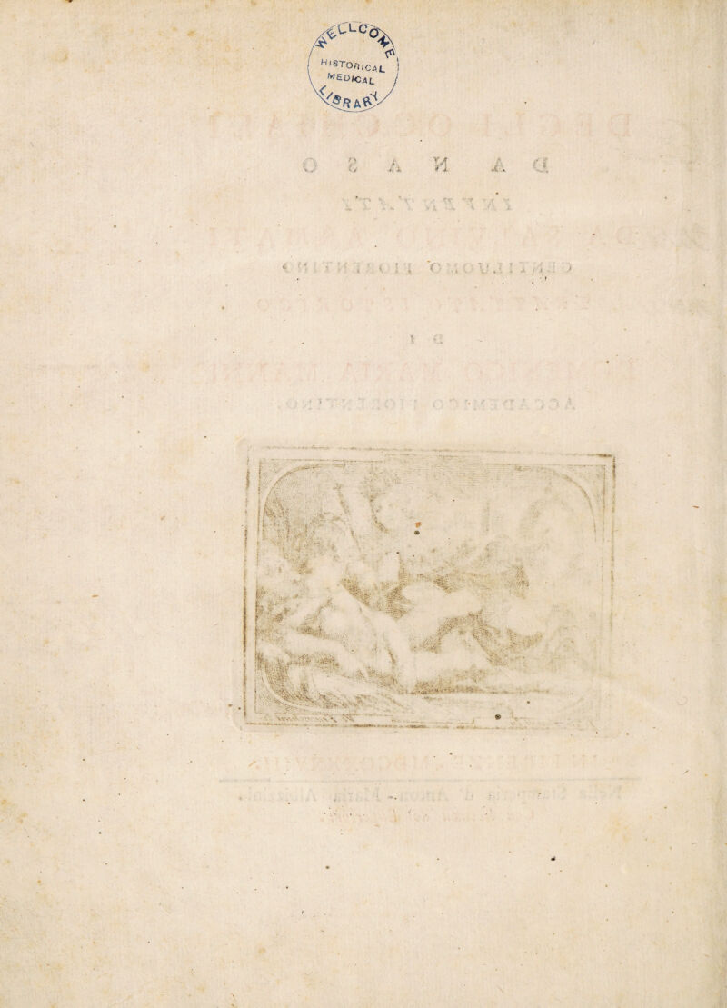 >LC% Hl borile AL MSDhz al \ ij » s. k V .v :  y . ,f » • i. J ' J • f l ‘ ?•* ? V f