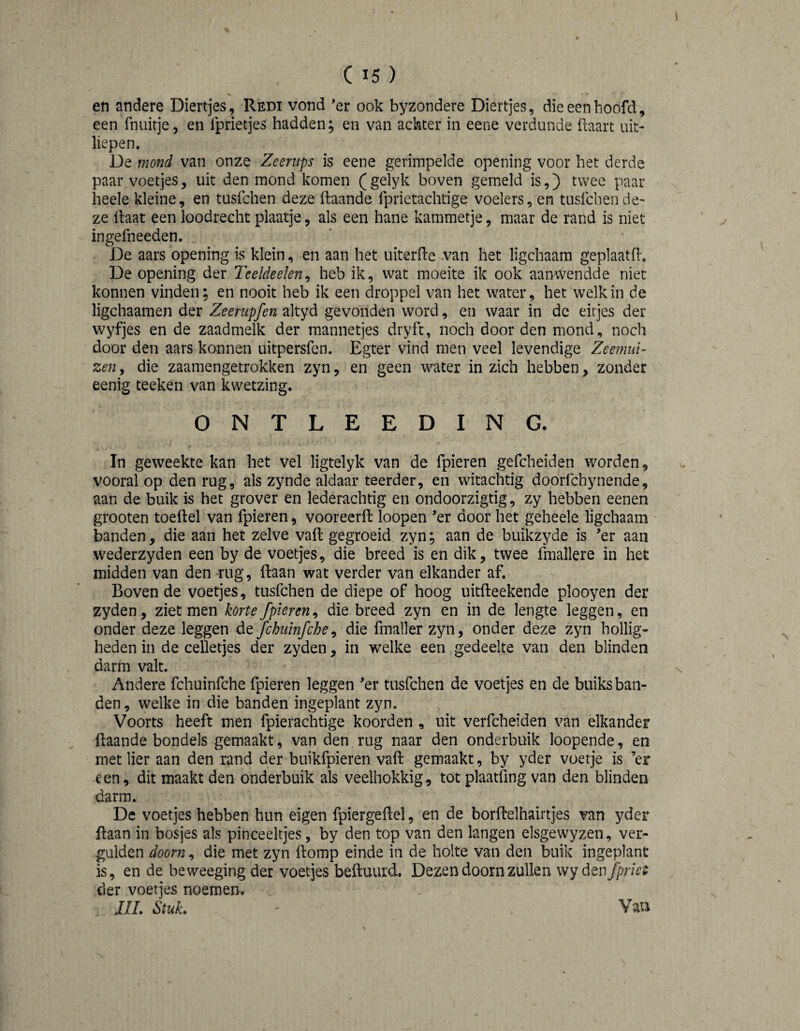 en andere Diertjes, Redi vond ’er ook byzondere Diertjes, die een hoofd, een fnuitje, en Iprietjes hadden, en van achter in eene verdunde ftaart uit¬ liepen. De mond van onze Zeerups is eene gerimpelde opening voor het derde paar voetjes, uit den mond komen (gelyk boven gemeld is,) twee paar heele kleine, en tusfchen deze ftaande fprietachtige voelers, en tusfchende¬ ze Haat een loodrecht plaatje, als een hane kammetje, maar de rand is niet ingelheeden. De aars opening is klein, en aan het uiterHe van het ligchaam geplaatH. De opening der Teeldeelen^ heb ik, wat moeite ik ook aanwendde niet konnen vinden; en nooit heb ik een droppel van het water, het welkin de ligchaamen der Zeerupfen altyd gevonden word, en waar in de eitjes der wyfjes en de zaadmelk der mannetjes dryft, noch door den mond, noch door den aars konnen uitpersfen. Egter vind men veel levendige Zeemui¬ zen , die zaamengetrokken zyn, en geen water in zich hebben, zonder eenig teeken van kwetzing. ONTLEEDING. In geweekte kan het vel ligtelyk van de fpieren gefcheiden worden, vooral op den rug, als zynde aldaar teerder, en witachtig doorfchynende, aan de buik is het grover en lederachtig en ondoorzigtig, zy hebben eenen grooten toeftel van fpieren, vooreerft loopen ’er door het geheele ligchaam' banden, die aan het zelve vaft gegroeid zyn; aan de buikzyde is ^er aan wederzyden een by de voetjes, die breed is en dik, twee fmallere in het midden van den rug, Haan wat verder van elkander af. Boven de voetjes, tusfchen de diepe of hoog uitfteekende plooyen der zyden, ziet men korte fpieren^ die breed zyn en in de lengte leggen, en onder deze leggen dt fchninfche^ die fmaller zyn, onder deze zyn hollig¬ heden in de celletjes der zyden, in welke een gedeelte van den blinden darm valt. Andere fchuinfche fpieren leggen er tusfchen de voetjes en de buiks ban¬ den , welke in die banden ingeplant zyn. Voorts heeft men fpierachtige koorden , uit verfcheiden van elkander ftaande bondels gemaakt, van den rug naar den onderbuik loopende, en met lier aan den rand der buikfpieren vaft gemaakt, by yder voetje is ’er een, dit maakt den onderbuik als veelhokkig, tot plaatfing van den blinden darm. De voetjes hebben hun eigen fpiergeftel, en de borftelhairtjes van yder ftaan in bosjes als pinceeltjes, by den top van den langen elsgewyzen, ver¬ galden doorn, die met zyn ftomp einde in de holte van den buik ingeplant is, en de beweeging der voetjes beftuurd. Dezen doorn zullen wy den fprie^ der voetjes noemen» JIL Stuk. - Vau