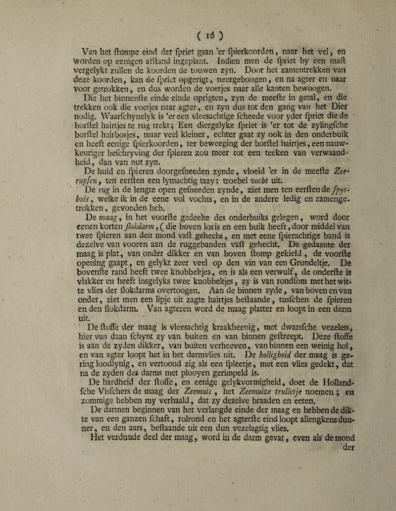 ( ) Van het (lompe eind der fpriet gaan ’er fpierkoorden, naar het vel, en worden op eenigen ailland ingeplant. Indien men de fpriet by een maft vergelykt zullen de koorden de touwen zyn. Door het zamentrekken van deze koorden, kan de fpriet opgerigt, neergeboogen, en na agter en naar voor getrokken, en dus worden de voetjes naar alle kanten bewoogen. Die het binnenfte einde einde oprigten, zyn de meefte in getal, en die trekken ook die voetjes naar agter, en zyn dus tot den gang van het Dier nodig. Waarfchynelyk is ’er een vleesachtige fcheede voor yder fpriet die de borftel hairtjes te rug trekt; Een diergelyke fpriet is 'er tot de zylingfche borftel hairbosjes, maar veel kleiner, echter gaat zy ook in den onderbuik en heeft eenige fpierkoorden, ter beweeging der borftel hairtjes, een nauw¬ keuriger befchryving der fpieren zou meer tot een teeken van verwaand¬ heid , dan van nut zyn. De huid en fpieren doorgefneeden zynde, vloeid ’er in de meefte Zee^ rupfen, ten eerften een lymachtig taay: troebel vocbt uit. De rug in de lengte open gefneeden zynde, ziet men ten eerften de ypyr- hiiis, welke ik in de eene vol vochts, en in de andere ledig en zamenge- trokken, gevonden heb. De maag, in het voorde gedeelte des onderbuiks gelegen, word door eenen korten flokdarm^QdÏQ boven losis en een buik heeft, door middel van twee fpieren aan den mond vaft gehecht, en met eene fpierachtige band is dezelve van vooren aan de roggebanden vaft gehecht. De gedaante der maag is plat, van onder dikker en van boven ftomp gekield , de voorde opening gaapt, en gelykt zeer veel op den vin van een Grondeltje. De bovenlle rand heeft twee knobbeltjes, en is als een verwulf, de onderfte is vlakker en heeft insgelyks twee knobbeltjes, zy is van rondfom met het wit* te vlies der flokdarms overtoogen. Aan de binnen zyde, van boven en van onder, ziet men een lipje uit zagte hairtjes beftaande, tusfchen de fpieren en den (lokdarm. Van agteren word de maag platter en loopt in een darm uit. De dofte der maag is vleesachtig kraakbeenig, met dwarsfche vezelen, hier van daan fchynt zy van buiten en van binnen geftreept. Deze doffe is aan de zyden dikker, van buiten verheeven, vanbinnen een weinig hol, en van agter loopt het in het darmvlies uit. De holligheid der maag is ge¬ ring loodlynig, en vertoond zig als een fpleetje, met een vlies gedekt, dat na de zyden des darms met plooyen gerimpeld is. De hardheid der dofte, en eenige gelykvormigbeid, doet de Holland- fche Visfchers de maag der Zeemuis , het Zeemuize trulletje noemen ; en zommige hebben my verhaald, dat zy dezelve braaden en eeten. De darmen beginnen van het verlangde einde der maag en hebben de dik¬ te van een ganzen fchaft, rolrond en het agterfte eind loopt allengkens dun¬ ner, en den aars, beftaande uit een dun vezelagtig vlies. Het verdunde deel der maag, word in de darm gevat, even als' de mond der