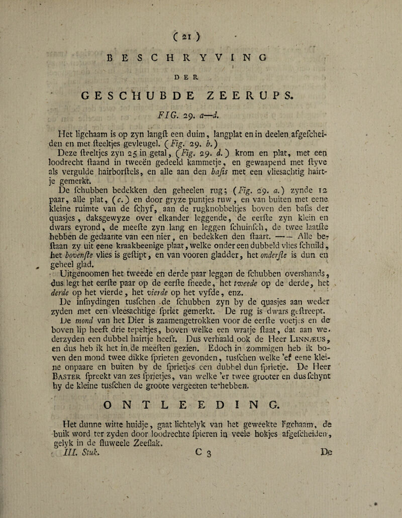 BESCHRYVING 1 DER. GESCHUBDE ZEE Px UPS. FIG, 29. a—d. Het ligchaam is op zyn langft een duim, langplat enin deelen afgefchei» den en met fteeltjes gevleugel. (^Fig, 29. b,) Deze fteeltjes zyn 25 in getal, (^Fig, 29. d,^ krom en plat, met een loodrecht ftaand in tweeën gedeeld kammetje, en gewaapend met ftyve als vergulde hairborftels, en alle aan den hafis met een vliesachtig haiit- je gemerkt. De fchubben bedekken den geheelen rug; {Fig, 29. a,) zynde 12 paar, alle plat, (c.) en door gryzc puntjes ruw, en van buiten met eene, kleine ruimte van de fchyf, aan de rugknobbelties boven den bafis der quasjes , daksgewyze over elkander leggende, de eerfte zyn klein en dwars eyrond, de meefte zyn,lang en leggen fchuinfch, de twee laatfte hebben de gedaante van een nier, en bedekken den ftaart.-Alle be? ftaan zy uit eene kraakbeenige plaat, welke onder een dubbeld vlies fchuild, het bovenfte vlies is geftipt, en van vooren gladder, het onderjle is dun en ^ geheel glad. ^ ' Uitgënoomen het tweede en derde paar leggsn de fchubben overshands, dus legt het eerfte paar op de eerfte fneede, het tweede op de derde, het . derde op het vierde, het vierde op het vyfde, enz. De infnydingen tusfehen -de fchubben zyn by de quasjes aan weder zyden met een vleesachtige fpriet gemerkt. De rug is dwars gtftreept. De mond van het Dier is zaamengetrokken voor de eerfte voetjes en de boven lip heeft drie tepeltjes, boven welke een wratje ftaat, dat aan we- derzyden een dubbel hairtje heeft. Dus verhaald ook de Heer Linn/Eus, en dus heb ik het in de meeften gezien. Edoch in zommigen heb ik bo¬ ven den mond twee dikke fprieten gevonden, tusfehen welke ’ef eene klei¬ ne onpaare en buiten by de fprietjes een dubbel dun fprietje. De Heer Baster fpreekt van zes fprjetjes, van welke ’cr twee grooter en dusfchynt hy de kleine tusfehen de groote vergeeten teiiebben. O N T L E E D I N a Het dunne witte huidje, gaat lichtelyk van het geweekte f gchaam, de •buik word ter zyden door loodrechte fpieren iu veele hokjes afgefcheideir, gelyk in de fluweele Zeeflak. ' ilL Stuk. C 3 Ite