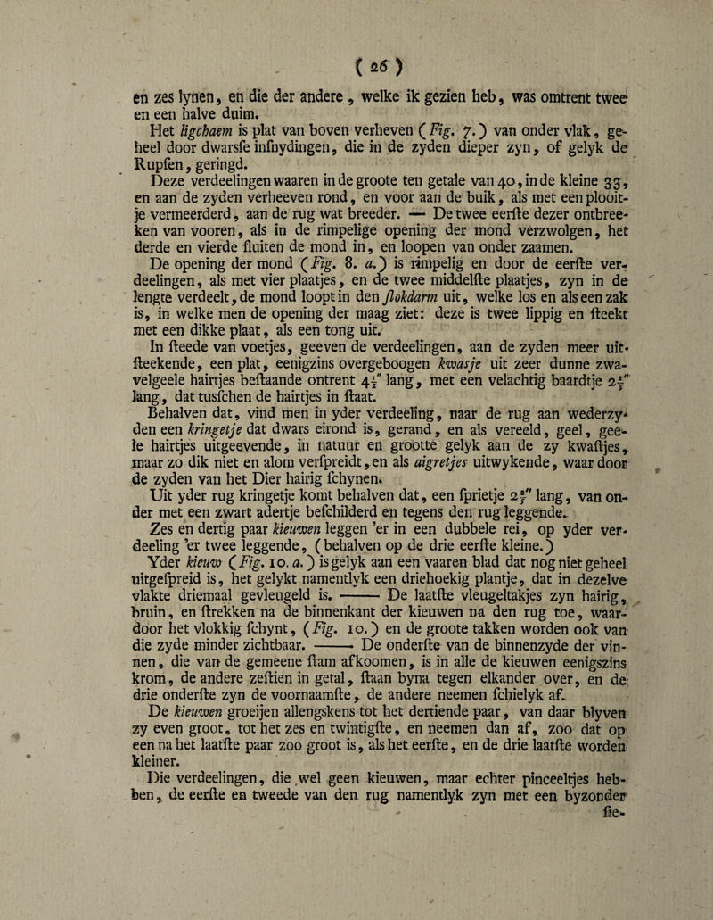 ( 2<5 ) eii zes lynen, eti die der andere , welke ik gezien heb, was omtrent twee en een halve duim. Het ïigchaem is plat van boven verheven (^Fig, 7.) van onder vlak, ge¬ heel door dwarsfe infnydingen, die in de zyden dieper zyn, of gelyk de Rupfen, geringd. Deze verdeelingenwaaren indegroote ten getale van 40, in de kleine 35, en aan de zyden verheeven rond, en voor aan de buik, als met een plooit¬ je vermeerderd, aan de rug wat breeder. — De twee eerfte dezer ontbree- ken van vooren, als in de rimpelige opening der mond verzwolgen, het derde en vierde fluiten de mond in, en loopen van onder zaamen. De opening der mond (^Fig, 8. a,^ is rimpelig en door de eerfte ver-j deelingen, als met vier plaatjes^ en de twee middelfte plaatjes, zyn in de  lengte verdeelt, de mond loopt in den jlokdarm uit, welke los en als een zak is, in welke men de opening der maag ziet: deze is twee lippig en fteekt met een dikke plaat, als een tong uit. In fteede van voetjes, geeven de verdeelingen, aan de zyden meer uit* fteekende, een plat, eenigzins overgeboogen hmsje uit zeer dunne zwa- velgeele hairtjes beftaande ontrent 4^ lang , met een velachtig baardtje 2j lang, dat tusfchen de hairtjes in ftaat. Behalven dat, vind men in yder verdeeling, naar de rug aan wederzy* den een kringetje dat dwars eirond is, gerand, en als vereeld, geel, gee- ïe hairtjes uitgeevende, in natuur en grootte gelyk aan de zy kwaftjes, maar zo dik niet en alom verfpreidt, en als aigretjes uitwykende, waar door de zyden van het Dier hairig fchynen. Uit yder rug kringetje komt behalven dat, een fprietje af lang, van on¬ der met een zwart adertje befchilderd en tegens den rug leggende.. Zes en dertig paar kieuwen leggen ’er in een dubbele rei, op yder ver¬ deeling ’er twee leggende, (behalven op de drie eerfte kleine.) Yder kieuw CFig* 10. a.) is gelyk aan een vaaren blad dat nog niet geheel uitgefpreid is, het gelykt namentlyk een driehoekig plantje, dat in dezelve vlakte driemaal gevleugeld is. -De laatfte vleugeltakjes zyn hairig, bruin, en ftrekken na de binnenkant der kieuwen na den rug toe, waar¬ door het vlokkig fchynt, (Fig. 10.) en de groote takken worden ook van die zyde minder zichtbaar. -- De onderfte van de binnenzyde der vin¬ nen , die van de gemeene ftam afkoomen , is in alle de kieuwen eenigszins krom, de andere zeftien in getal, ftaan byna tegen elkander over, en de drie onderfte zyn de voornaamfte , de andere neemen fcftielyk af.. De kieuwen groeijen allengskens tot het dertiende paar, van daar blyven zy even groot, tot het zes en twintigfte, en neemen dan af, zoo dat op een na het laatfte paar zoo groot is, als het eerfte, en de drie laatfte worden kleiner. Die verdeelingen, die wel geen kieuwen, maar echter pinceeltjes heb¬ ben , de eerfte en tweede van den rug namentlyk zyn met een byzonder fle-