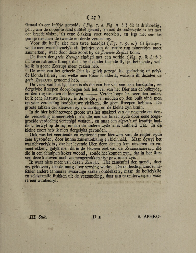 Car) (lOTaad als een getooid, (Fig. 7. a. Fig. 9. b.) dit is driehoekig, plat, aan de opperlte rand dubbel getand, en aan de onderzyde is het met een breede vlakte,’als eene Slakken voet voorzien, en legt met een los puntje tusfchen de tweede en derde verdeeling. Voor dit kuifje ziet men twee baardjes (Ftg. 7. 9. a.^ a^s fprietjes, welke men waarfchynelyk als fprietjes van de eerfte rug pinceeltjes moet aanmerken, waar door deze zoort by de fluweele Zeejlak komt. De flaait der geele Zeerups eindigd met een vorkje ( Fig. 7. 8. h. b.) uit twee rolronde ftompe dicht by elkander llaande ftyltjes beftaande, wel¬ ke ik in geene Zeerups meer gezien heb. De verw van het geheele Dier is, gelyk gezegd is, geelachtig of gelyk de blonde hairen, met welke men Fenus fchilderd, waarom ik dezelve de geele Zeerups genoemd heb. De verw van het ligchaam is als die van het vel van een handpalm, en dergelyke ftreepen doorploegen ook het vel van het Dier aan debuikzyde, en den rug tusfchen de kieuwen. - Verder loopt ’er over den onder¬ buik eene flaauwe ftreep, in de lengte, en midden op den buik vind men op yder verdeeling loodblaauwe vlekken, die geen ftreepen hebben. De groote takken der kieuwen zyn witachtig en de kleine zyn bruin. In de hier befchreevene groote was het maakzel van de negende en tien¬ de verdeeling aanmerkelyk; als die aan de linker zyde door eene^ toege¬ groeide verdeeling vereenigd waaren, en maar een aigretje of kwaftje had¬ den , terwyl op de rug en aan de andere zyde alles dubbeld was. In de kleine zoort heb ik niets dergelyks gevonden. Ook was het veertiende en vyftiende paar kieuwen van de regter zyde zeer byzonder, door hunne zamentrekking en kleinheid. Maar dewyl het waarfchynelyk is, dat het levende Dier deze deelen kan uitzetten en za- mentrekken, gelyk men dit in de kieuwen ziet van de Zeeduizendbeen, die die in een fchulpen koker woond, zoude het konnen zyn, dat in het fier* ven deze kieuwen noch zaamengetrokken flyf geworden zyn. Ik weet niets meer van dezen Zeerups, Het zamenflel der mond, doet my gelooven, dat de maag door vryving werkt. De ontleeding zoude miS' fchien andere aanmerkenswaardige zaaken ontdekken, maar de koftelykfle en zeldzaamfte ftukken uit de verzameling, daar aan te onderwerpen waa- re een wanbedryf.