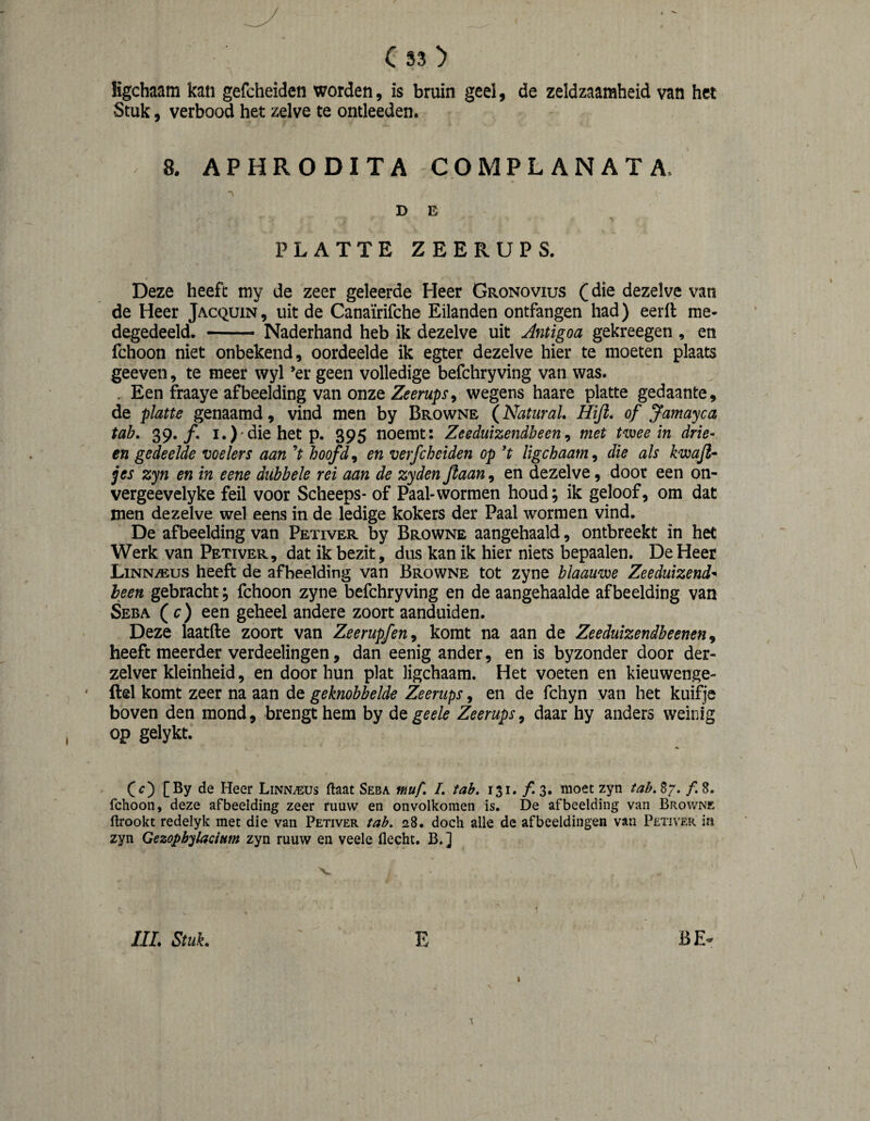 Kgchaam kan gefcheiden worden, is bruin geel, de zeldzaamheid van het Stuk, verbood het zelve te ontleeden. 8. APHRODITA COMPLANATA. D E PLATTE ZEERUPS. Deze heeft my de zeer geleerde Heer Gronovius (die dezelve van de Heer Jacquin, uit de Canaïrifche Eilanden ontfangen had) eerft me¬ degedeeld. -- Naderhand heb ik dezelve uit Antigoa gekreegen , en fchoon niet onbekend, oordeelde ik egter dezelve hier te moeten plaats geeven, te meer wyl ’er geen volledige befchryving van was. . Een fraaye afbeelding van onze Zeerups^ wegens haare platte gedaante, de platte genaamd, vind men by Browne (Natural* Hifi. of Jamayca tab. 39./. I.)'die het p. 395 noemt: Zeeduizendbeen ^ met tv^ee in drie¬ ën gedeelde voelers aan V hoofde en verfcheiden op *t ligchaam^ die als kwafi- jes zyn en in eene dubbele rei aan de zyden fiaan, en dezelve, door een on- vergeevelyke feil voor Scheeps- of Paal-wormen houd; ik geloof, om dat men dezelve wel eens in de ledige kokers der Paal wormen vind. De afbeelding van Petiver by Browne aangehaald, ontbreekt in het Werk van Petiver, dat ik bezit, dus kan ik hier niets bepaalen. De Heer LiNNiEus heeft de afbeelding van Browne tot zyne blaauwe Zeeduizend* heen gebracht; fchoon zyne befchry ving en de aangehaalde afbeelding van Seba ( c) een geheel andere zoort aanduiden. Deze laatfte zoort van Zeerupfen^ komt na aan de Zeeduizendbeenen ^ heeft meerder verdeelingen, dan eenig ander, en is byzonder door der- zelver kleinheid, en door hun plat ligchaam. Het voeten en kieuwenge- ftel komt zeer na aan de geknobbelde Zeerups, en de fchyn van het kuifje boven den mond, brengt hem by de geele Zeerups, daar hy anders weinig op gelykt. C^) [®y de Heer Linn^us ftaat Seba muf. I. tab. 131. ƒ. 3. moet zyn tab. 87. f. 8. fchoon, deze afbeelding zeer ruuw en onvolkomen is. De afbeelding van Browne flrookt redelyk met die van Petiver tab. 28. doch alle de afbeeldingen van Petiver in zyn Gezophylacimn zyn ruuw en veele flecht. B. ] IIL Stuk. E BE- t