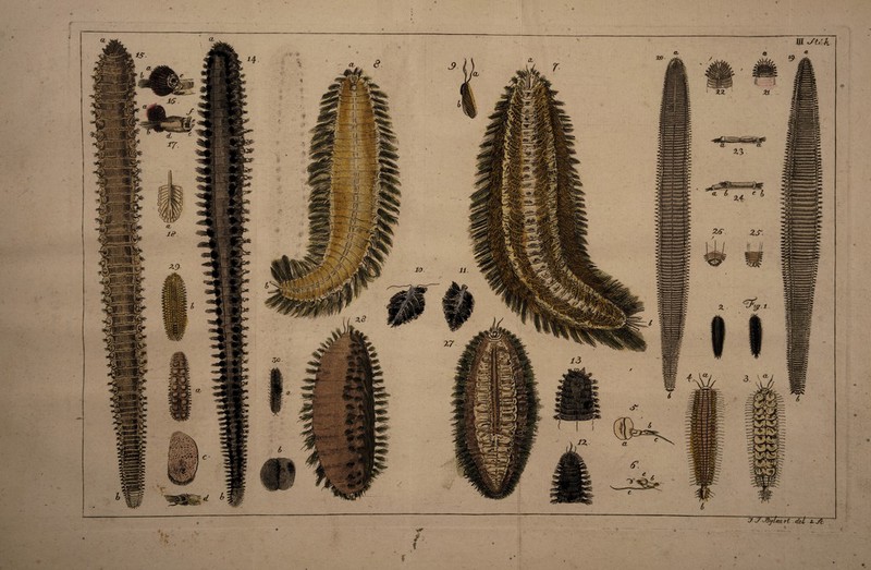 m ^t,'h UUlumuuuiiut imtimuiuiuuJ lummuuul^ i|iiiiiiwiimiiii limiiil'miw imiiimiiiiui IMiimiuiiimiini Llimli.niiilM/1 yuuiui IKUUÉill^ [ffrnwröffnTfTOjj Ip'l lii p i Bit 1 niiii y ^ Mtjlcia ft . dci yc \